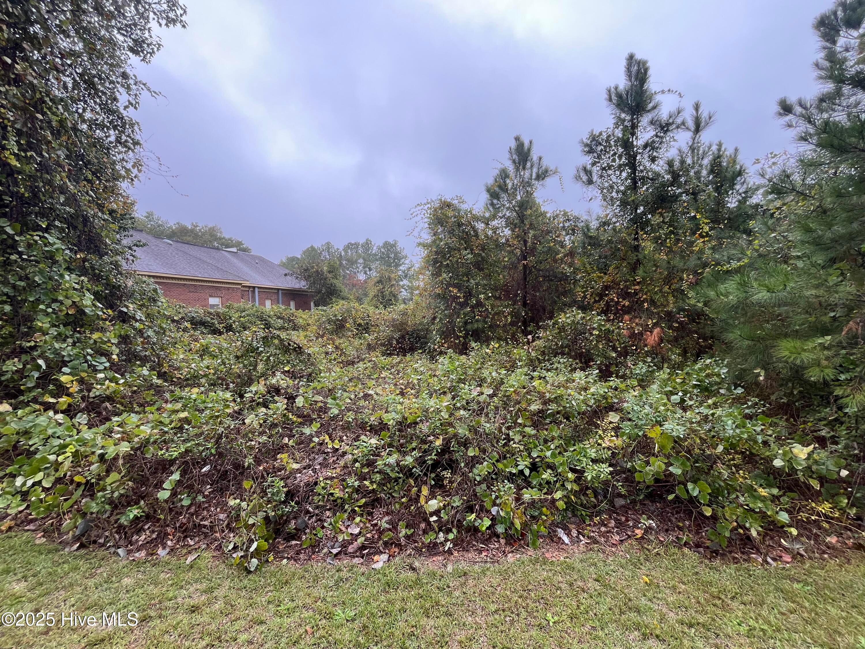 Unimproved Land at 105 Medical Circle, Rockingham, NC 28379, photo 2 of 7