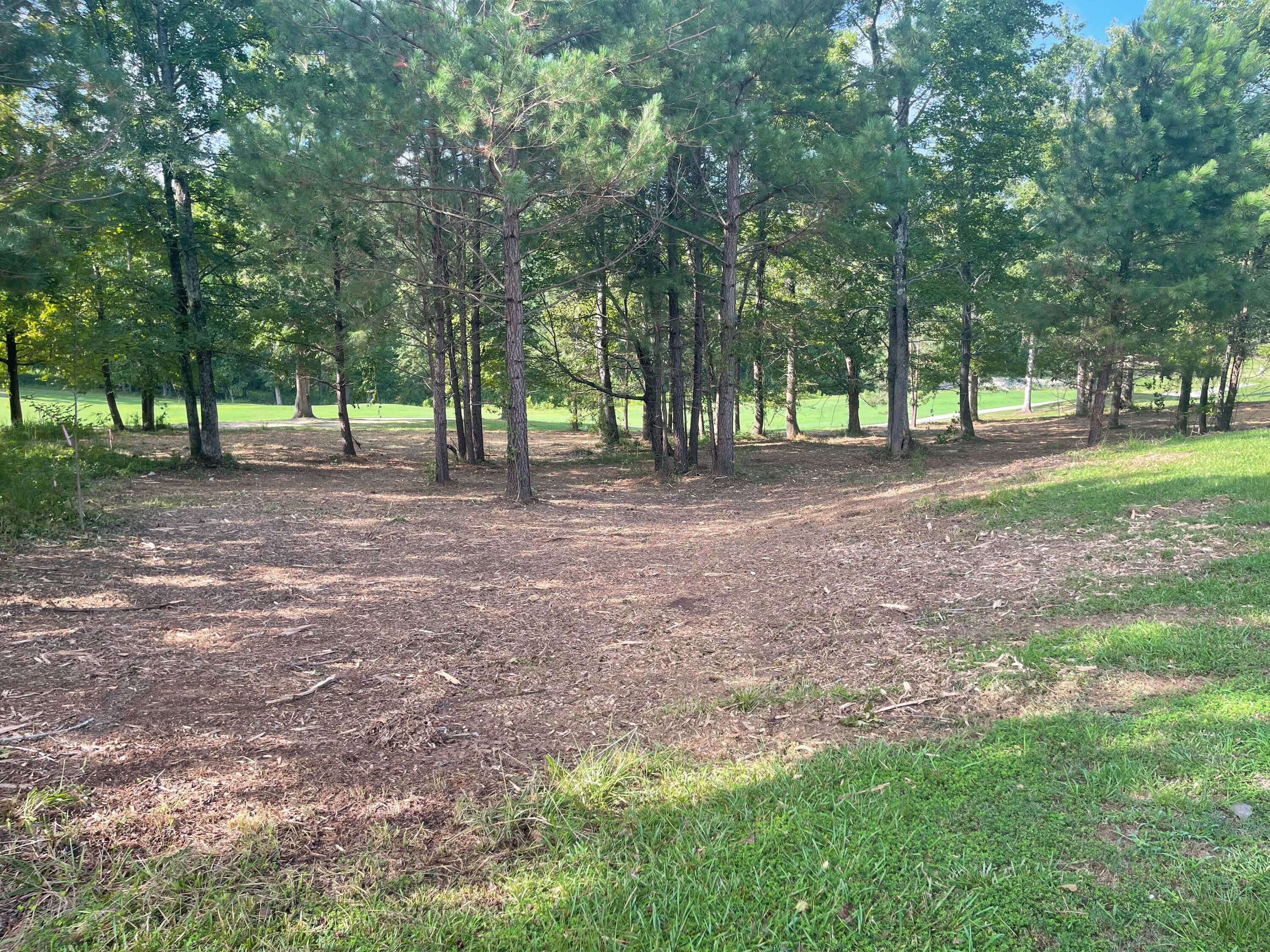 Residential Lot at Lot G-39 John Fox's Run, North Augusta, SC 29860, photo 4 of 5