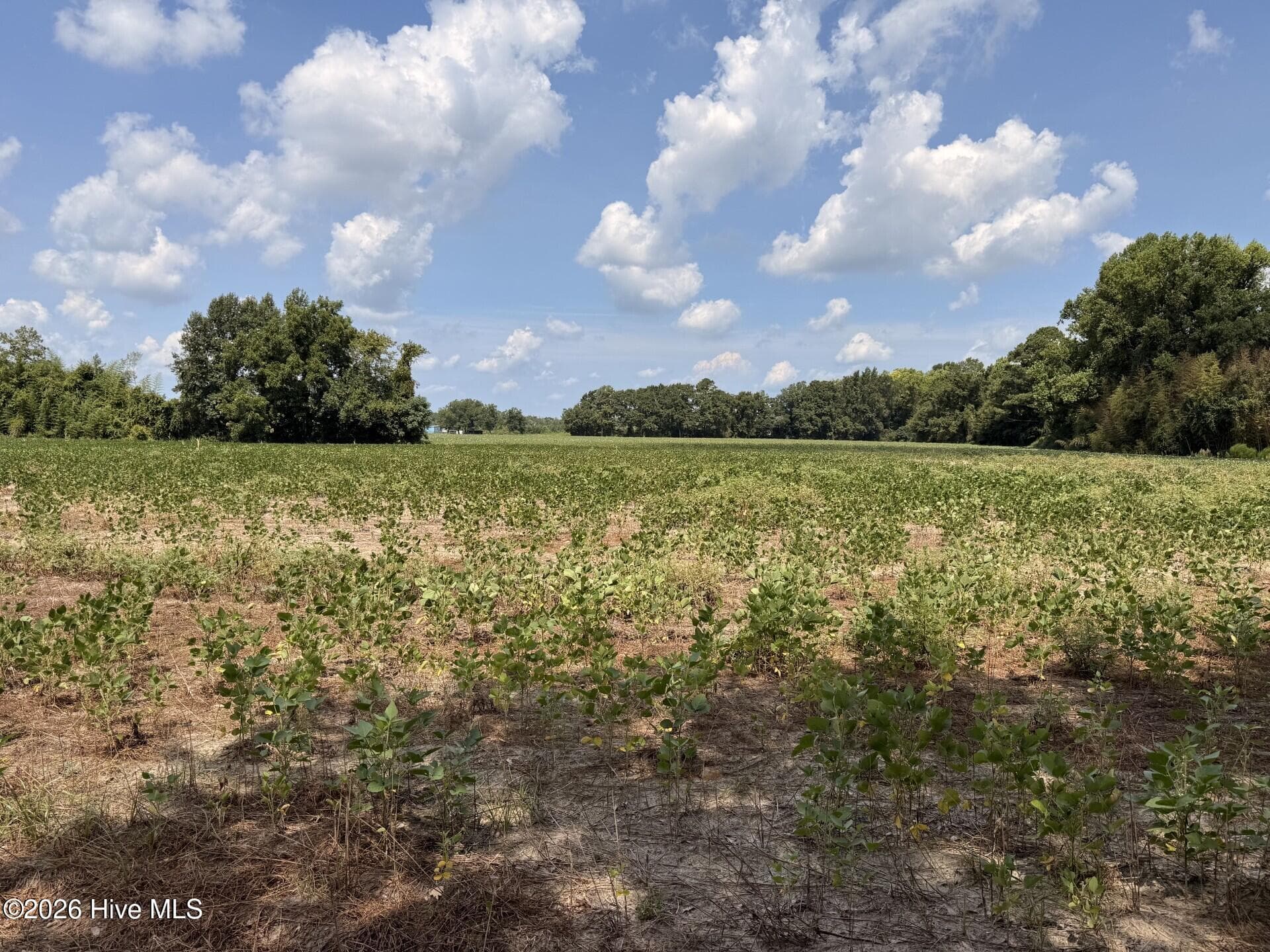 Farm at 685 Snake Road, Lumberton, NC 28358, photo 2 of 10