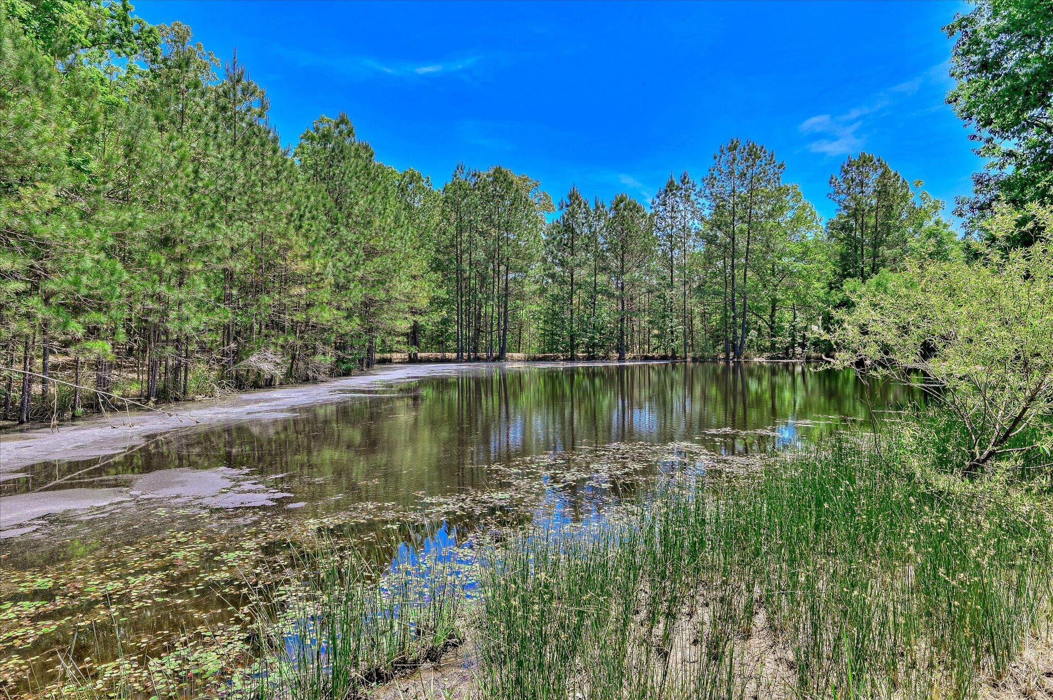 Single Family Residence at 1154 Water Oak Drive, Lincolnton, GA 30817, photo 60 of 63