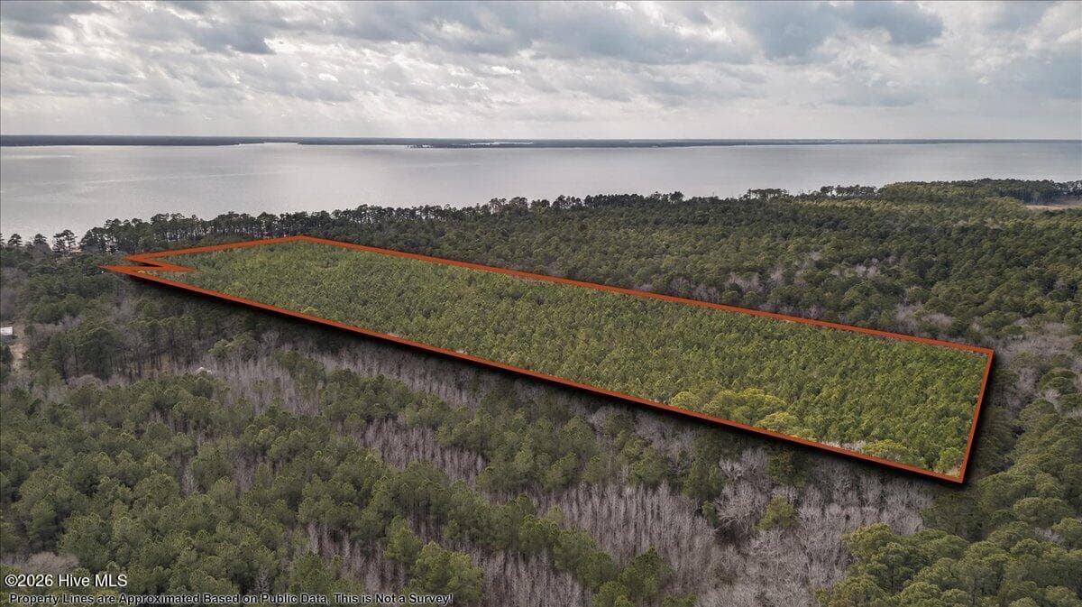Wooded at 2162 Old Pamlico Beach Road W, Belhaven, NC 27810, photo 14 of 25