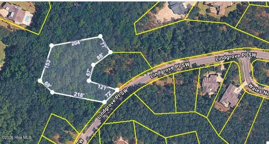 1+ acre wooded flag lot - 538 Lindgrove Place SW, Ocean Isle Beach, NC 28469