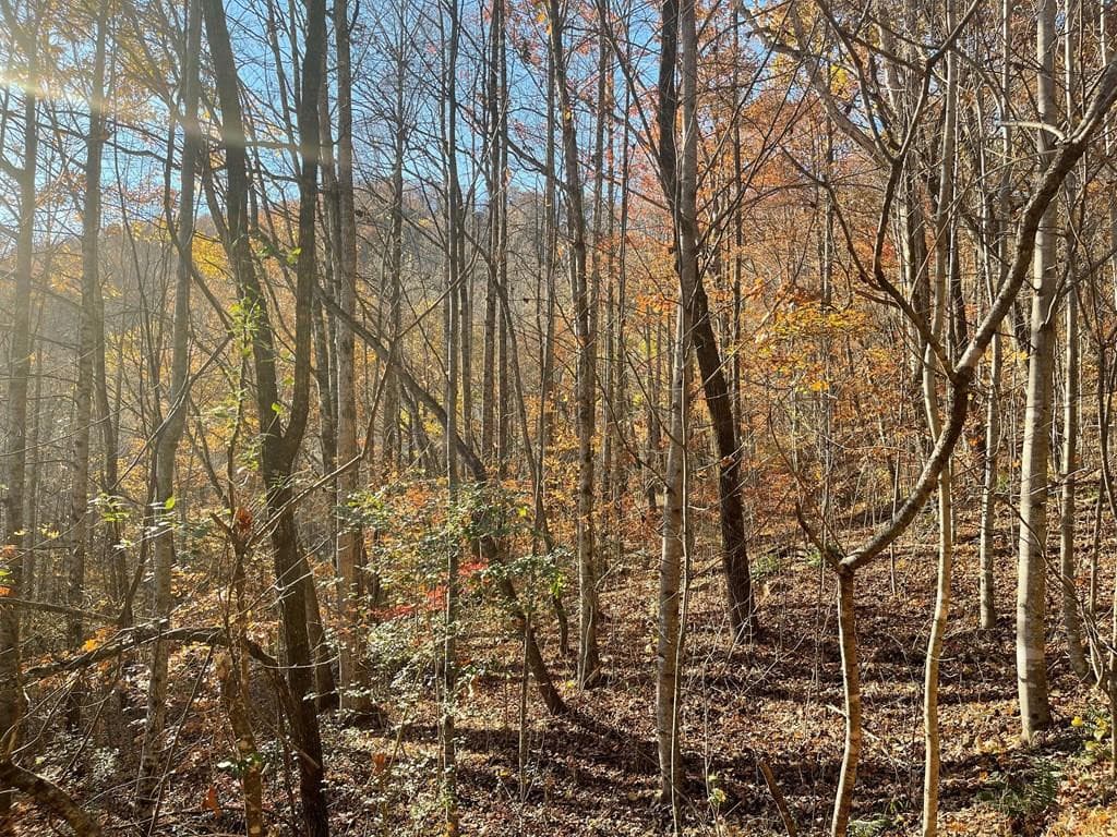 Residential Lot at Lot 41c 41C Ash Branch Circle, Hayesville, NC 28904, photo 2 of 3