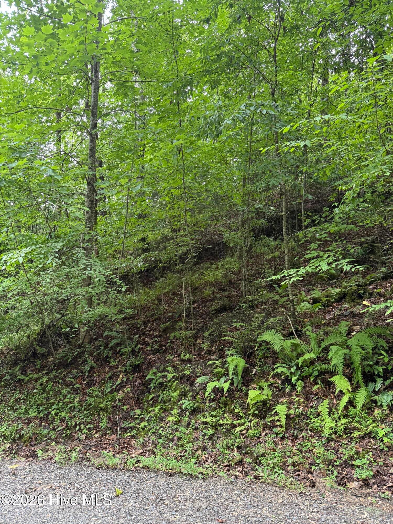 Residential Lot at Lot 8 Lot 8 Vista Loop Road Road, Topton, NC 28781, photo 3 of 9