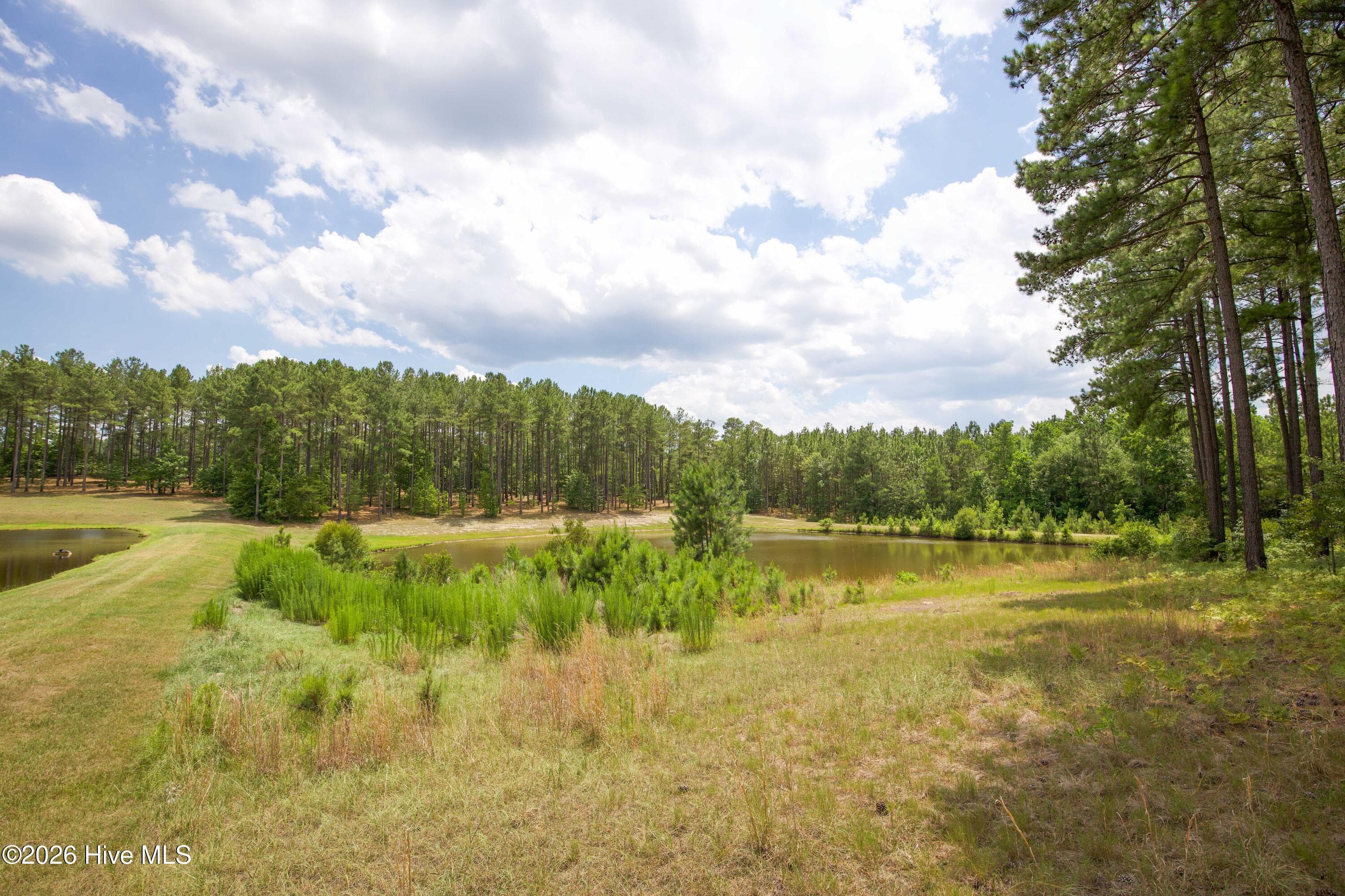 Horse Farm at 220 44B Justin Way, Foxfire Village, NC 27281, photo 51 of 69