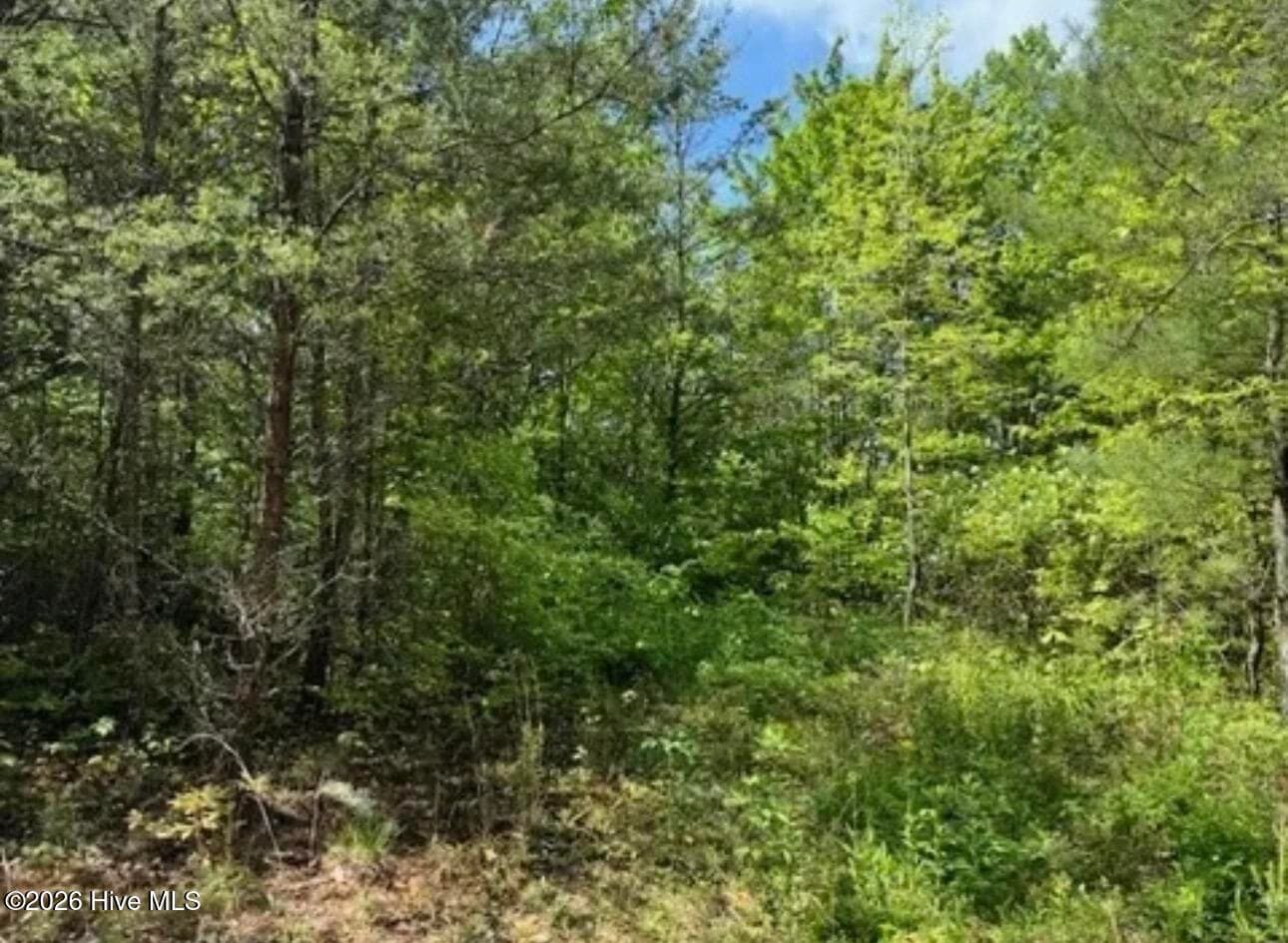 Residential Lot at 14 Tyler Lane, Marble, NC 28905, photo 2 of 4