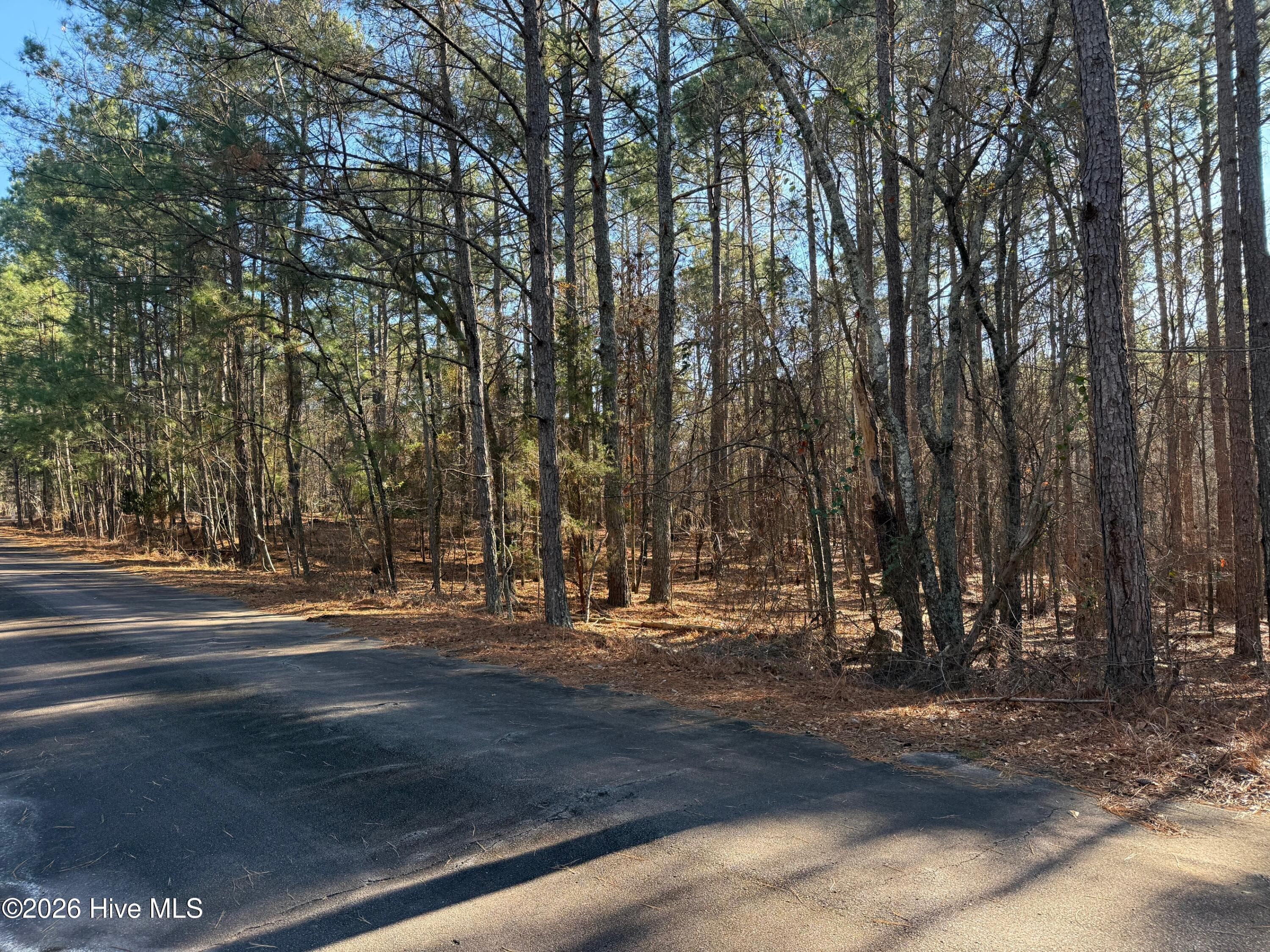 Residential Lot at 125 Millstone Court, West End, NC 27376, photo 2 of 4