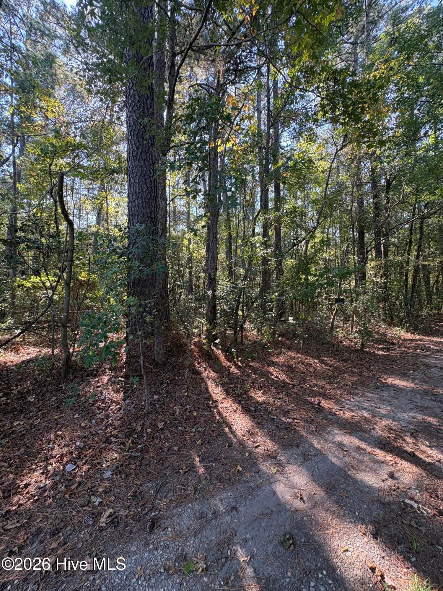 Residential Lot at 16 16 Old Tar, Winterville, NC 28590, photo 3 of 3
