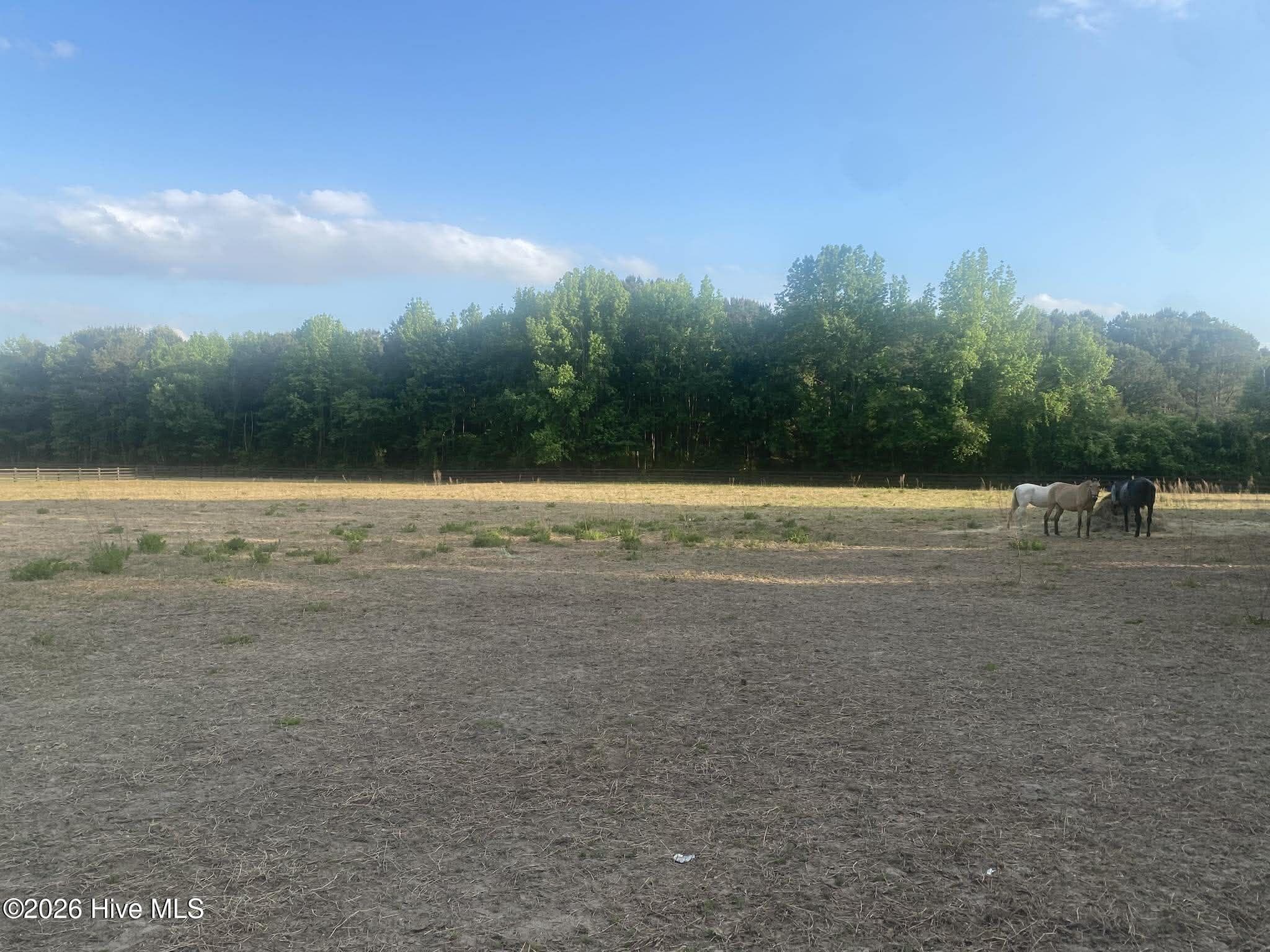 Residential Lot at 52 Fellowship Church Road, Princeton, NC 27569, photo 17 of 19