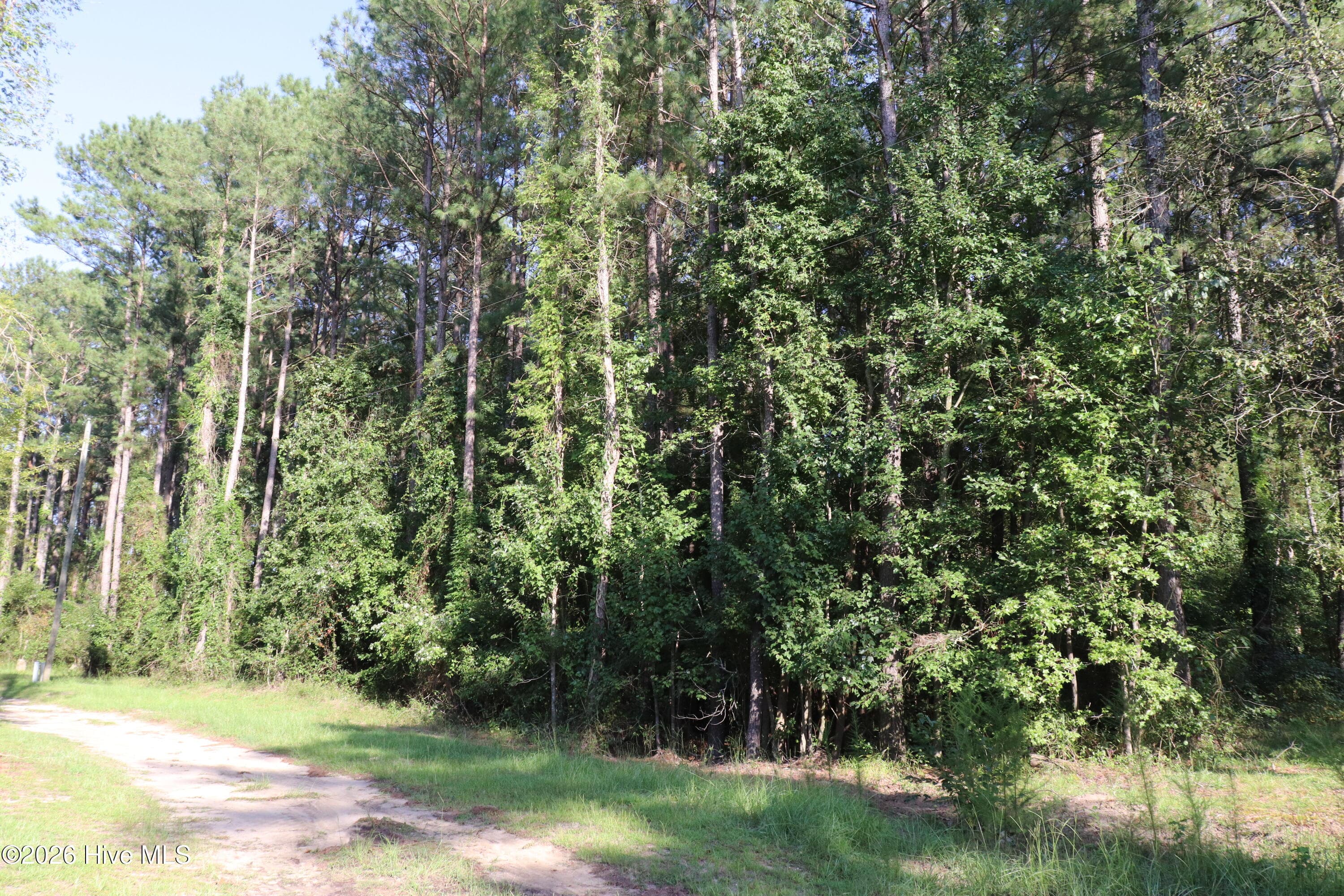 Access road in front of lots - Tbd 14 & 15 River Haven Lane, Harrells, NC 28444