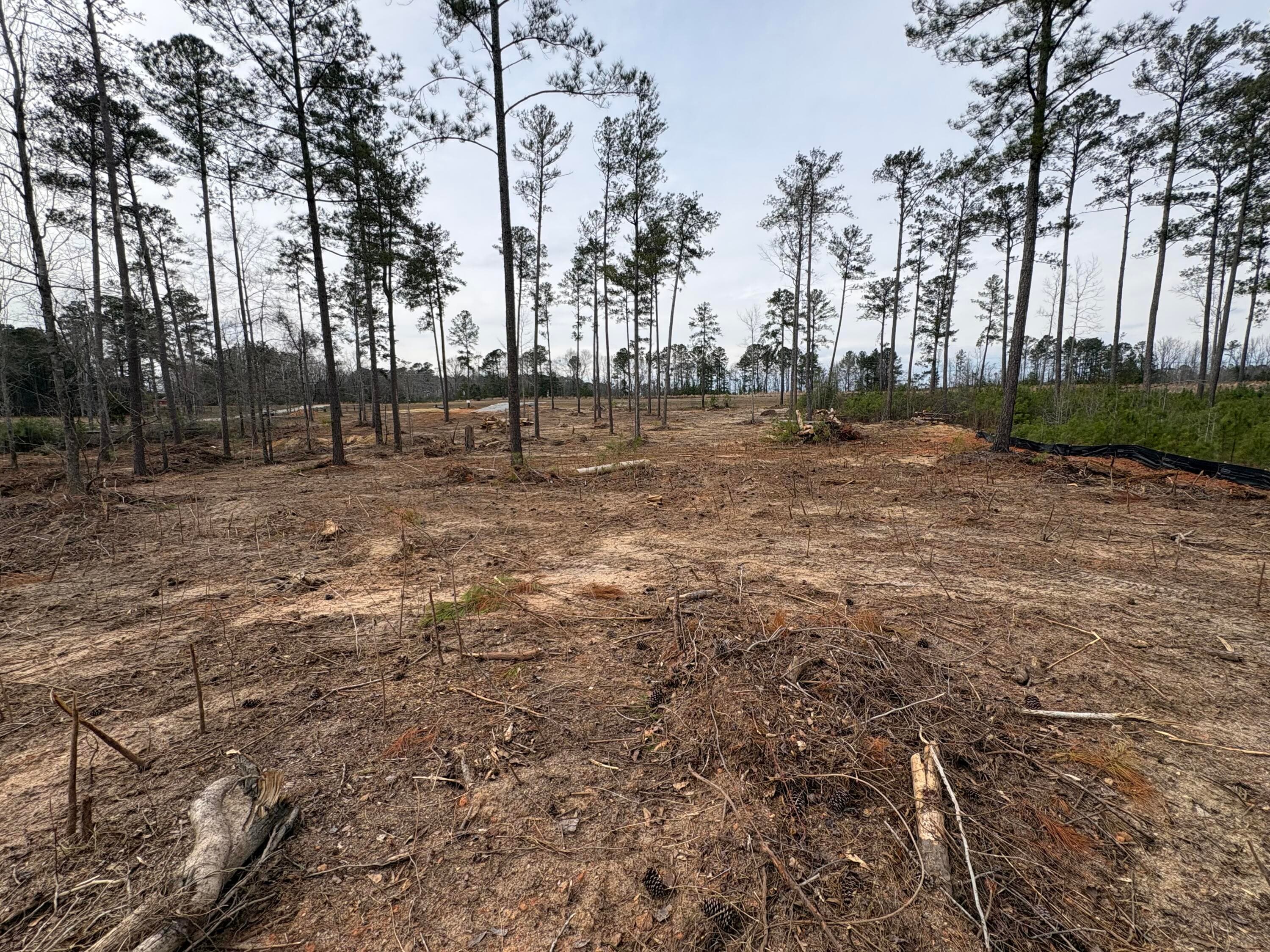 Residential Lot at 5672 White Oak Road, Appling, GA 30802, photo 8 of 8
