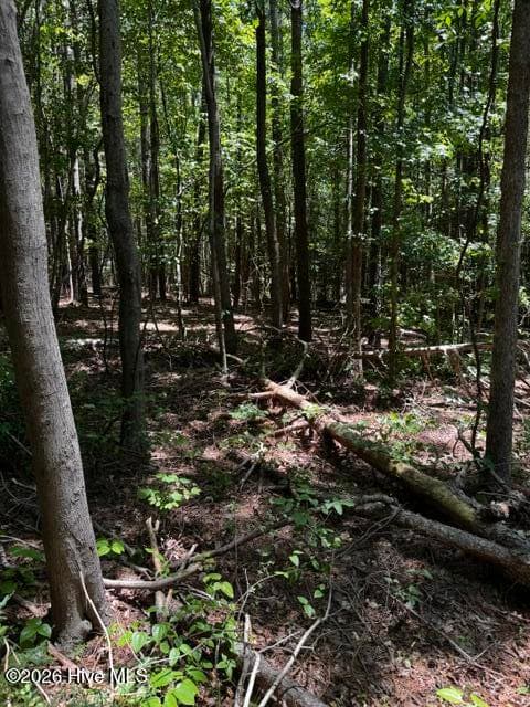 Undeveloped at Lot 1 Dan Road, Robbins, NC 27325, photo 10 of 22