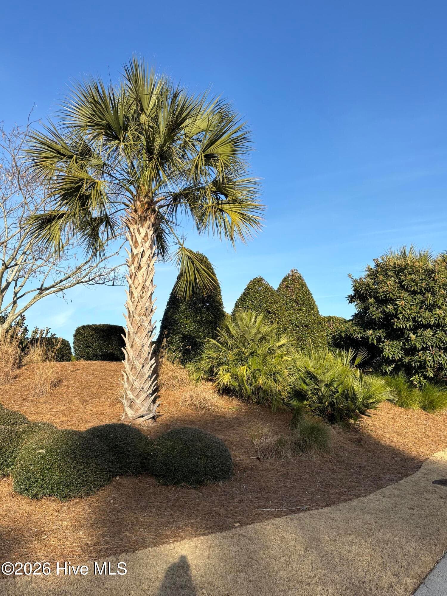 Single Family Residence at 8184 Compass Pointe East Wynd NE, Leland, NC 28451, photo 61 of 68