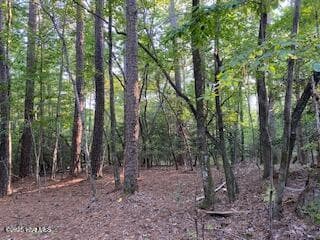 91a Palomino Road, Carthage, NC 28327