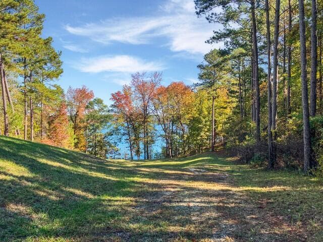 Residential Lot at 18 S Pointe Cove, Lincolnton, GA 30817, photo 12 of 15