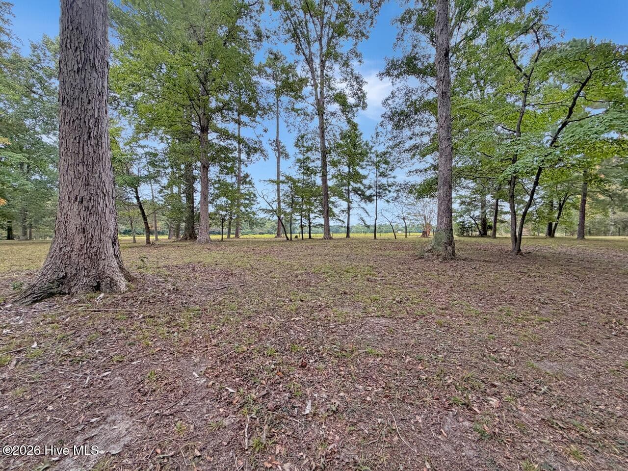Single Family Residence at 1708 Nc Highway 45, Cofield, NC 27922, photo 82 of 86