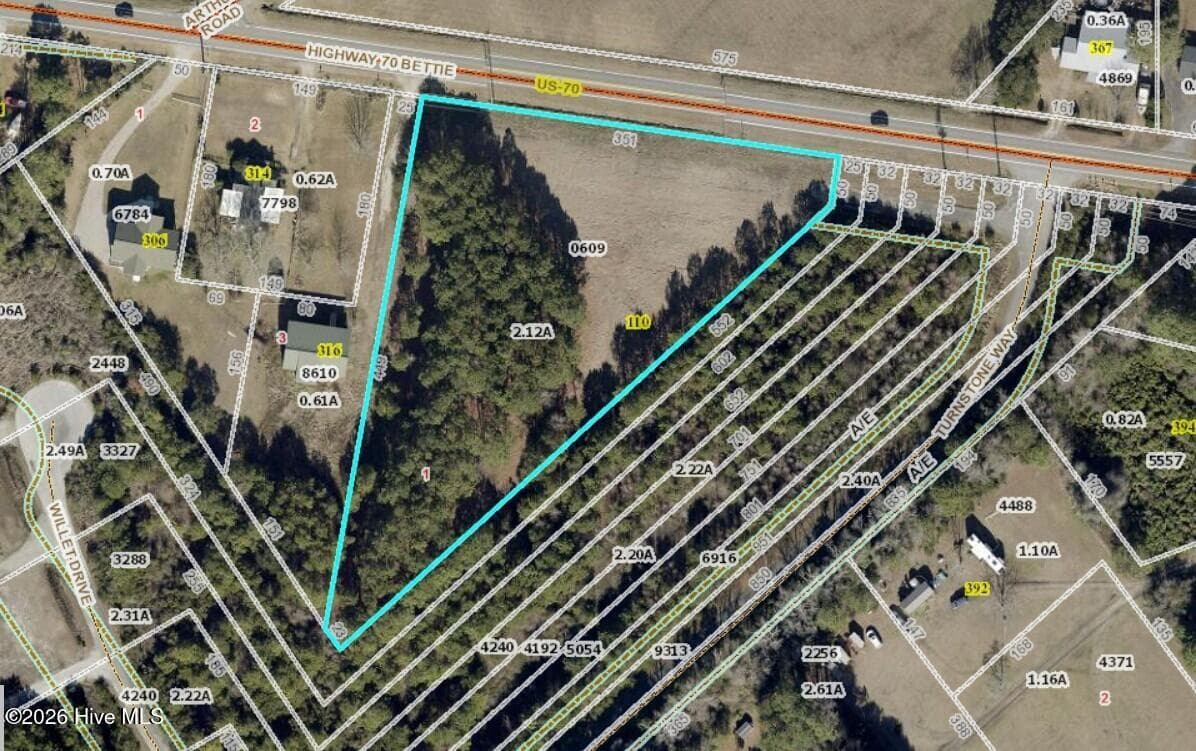110 1 Turnstone Way, Beaufort, NC 28516