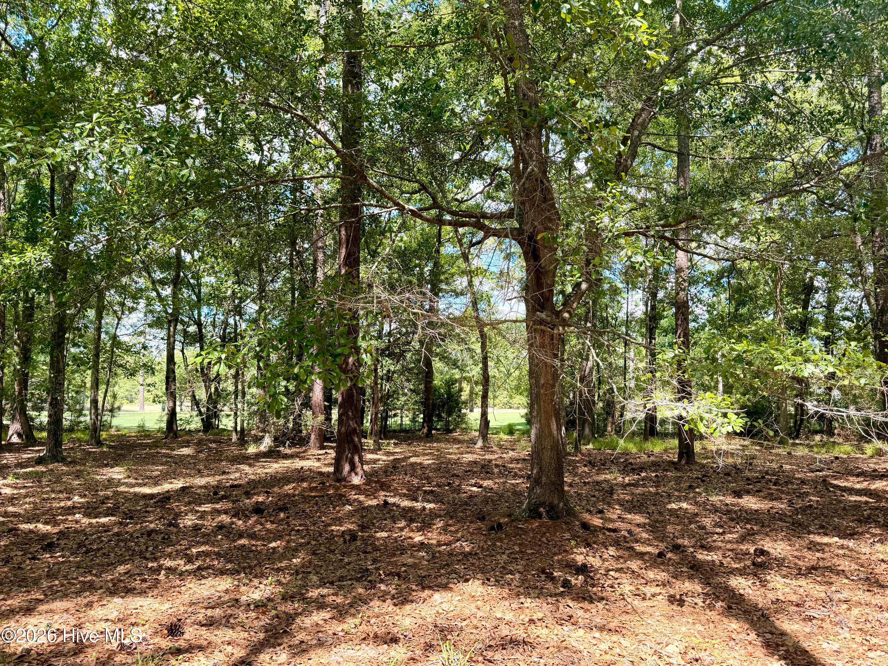 Undeveloped at 2054 2 Arnold Palmer Drive, Shallotte, NC 28470, photo 4 of 15