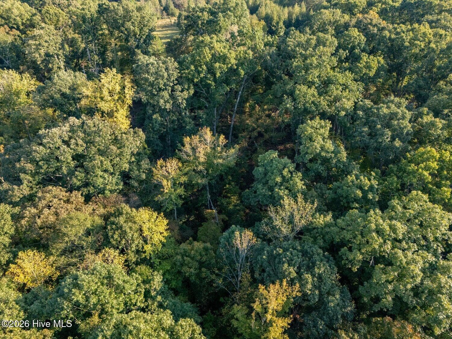 Residential Lot at 1 Austin Road, Belton, SC 29627, photo 9 of 9
