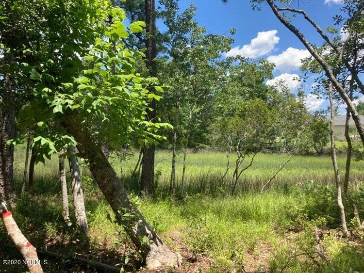 Residential Land at 76 76 Hughes Road, Hampstead, NC 28443, photo 2 of 2