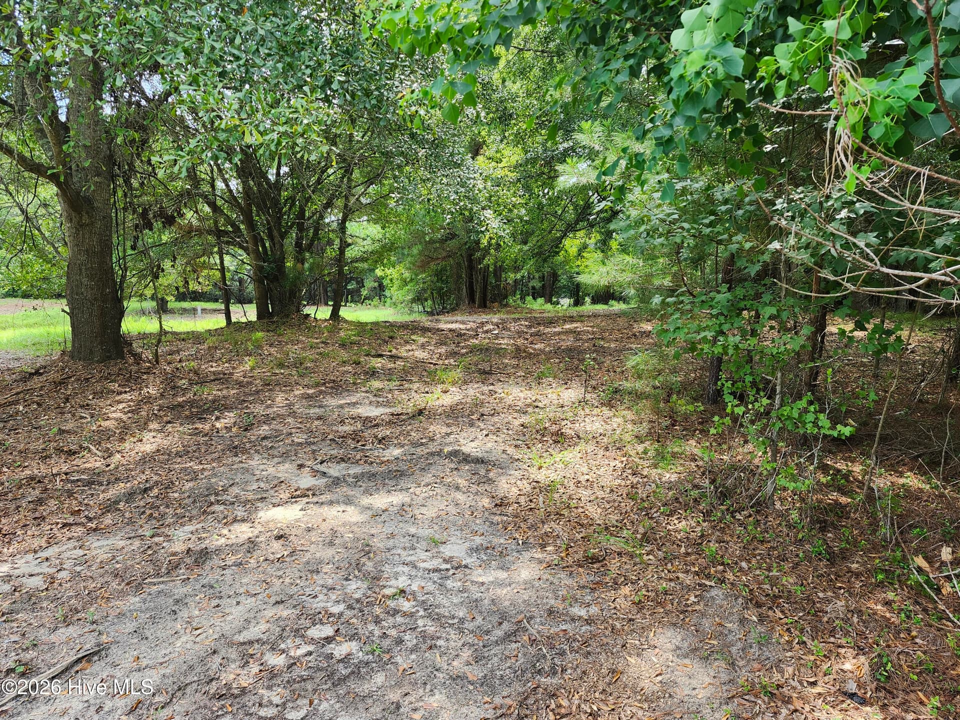 Wooded at 306 16 Revised Howards Landing Road, Hampstead, NC 28443, photo 9 of 17