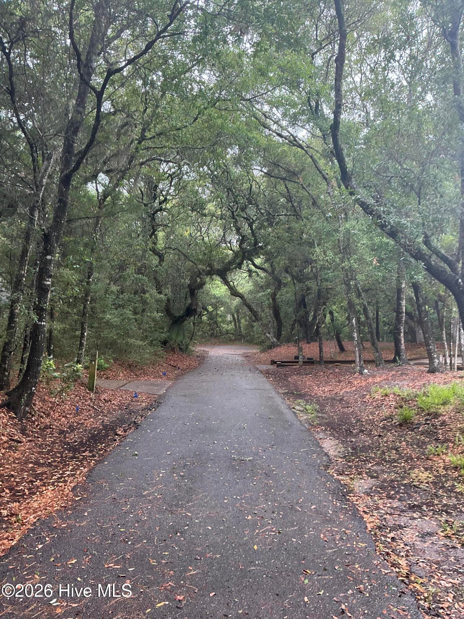 Entry to cul-de-sac - 8 18 Leopard Frog Court, Bald Head Island, NC 28461