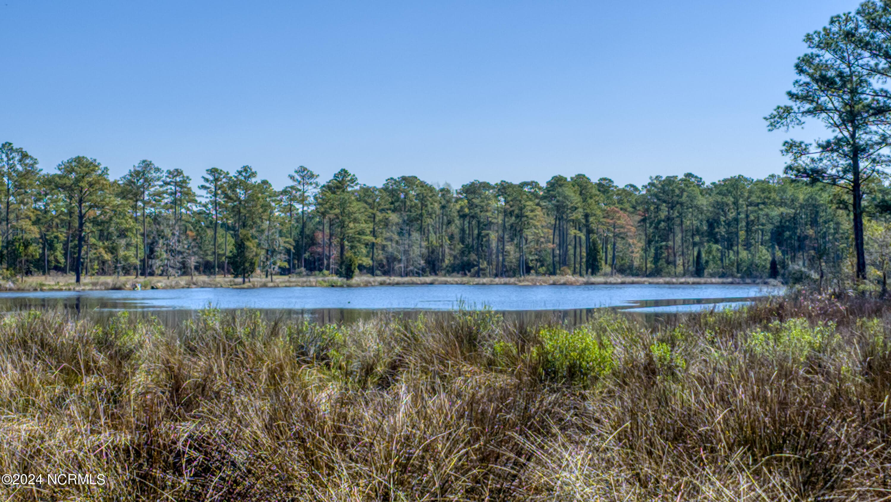 Residential Land at 15 Alexander Drive, Belhaven, NC 27810, photo 11 of 15