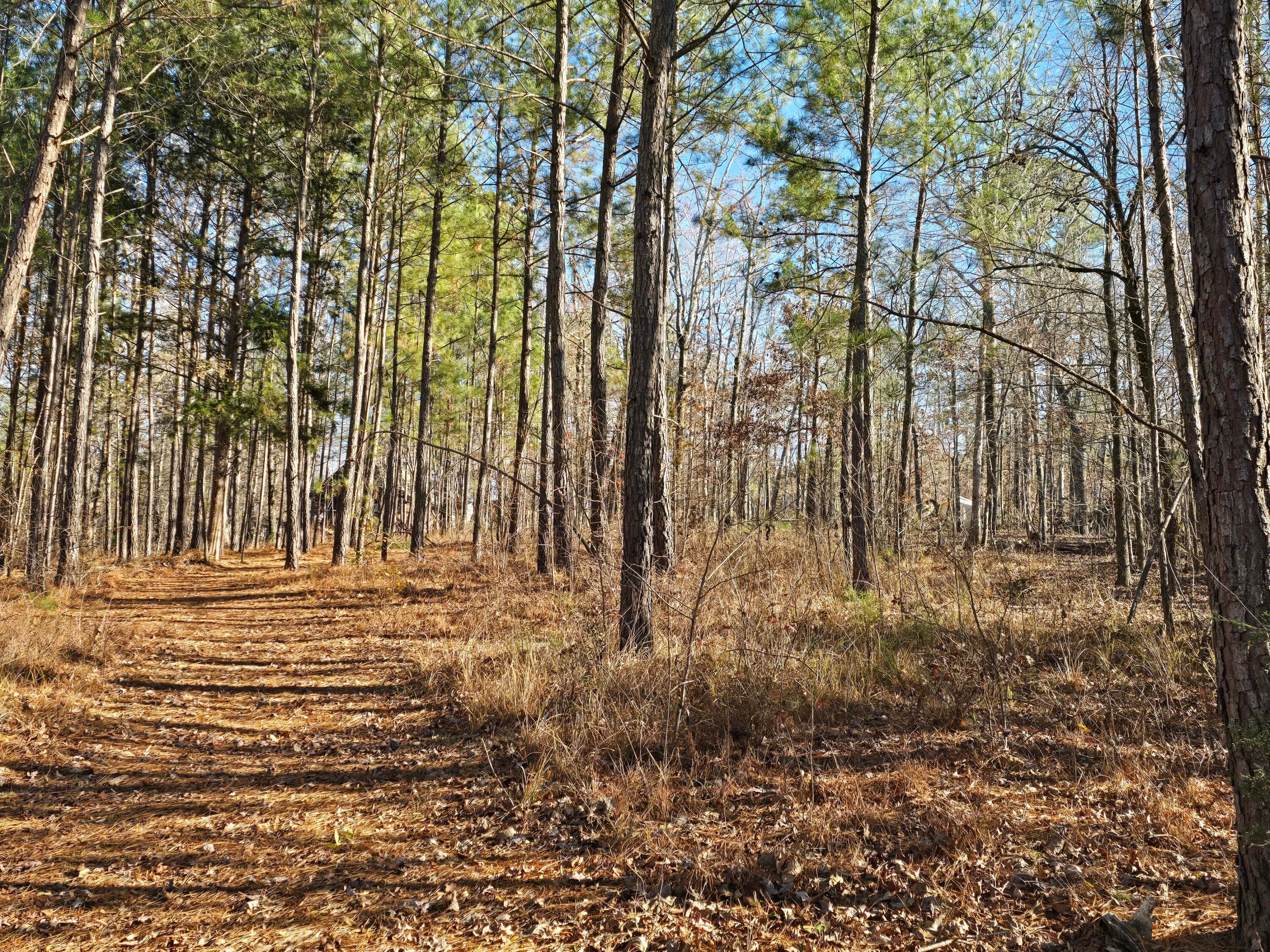 Residential Lot at 1102 Dogwood Drive, Lincolnton, GA 30817, photo 41 of 46