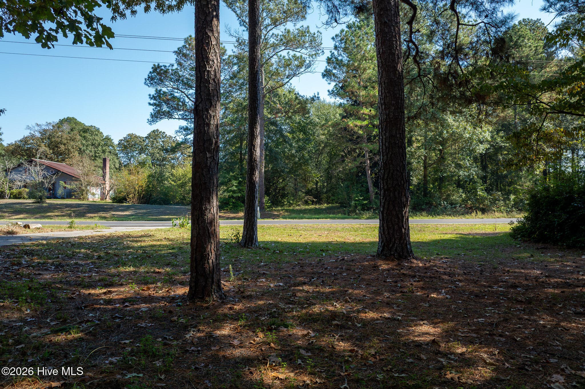 Single Family Residence at 245 Tracy Brown Road, Magnolia, NC 28453, photo 32 of 46