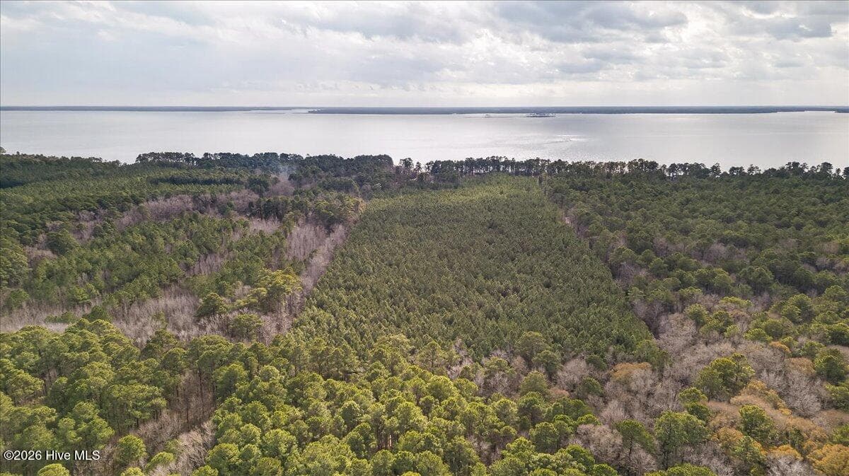 Wooded at 2162 Old Pamlico Beach Road W, Belhaven, NC 27810, photo 21 of 25
