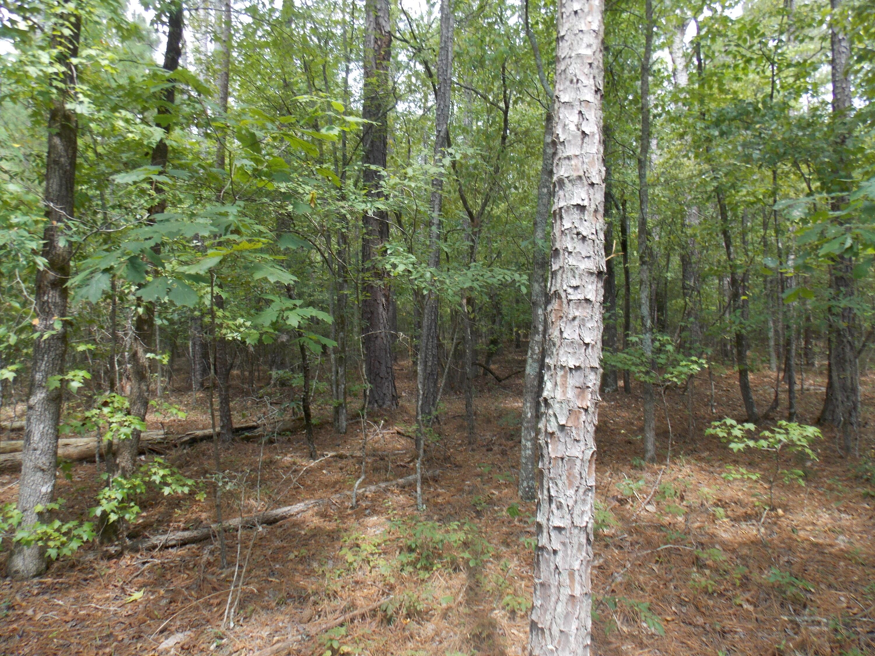 Residential Lot at 11 Doe Run, Lincolnton, GA 30817, photo 2 of 3