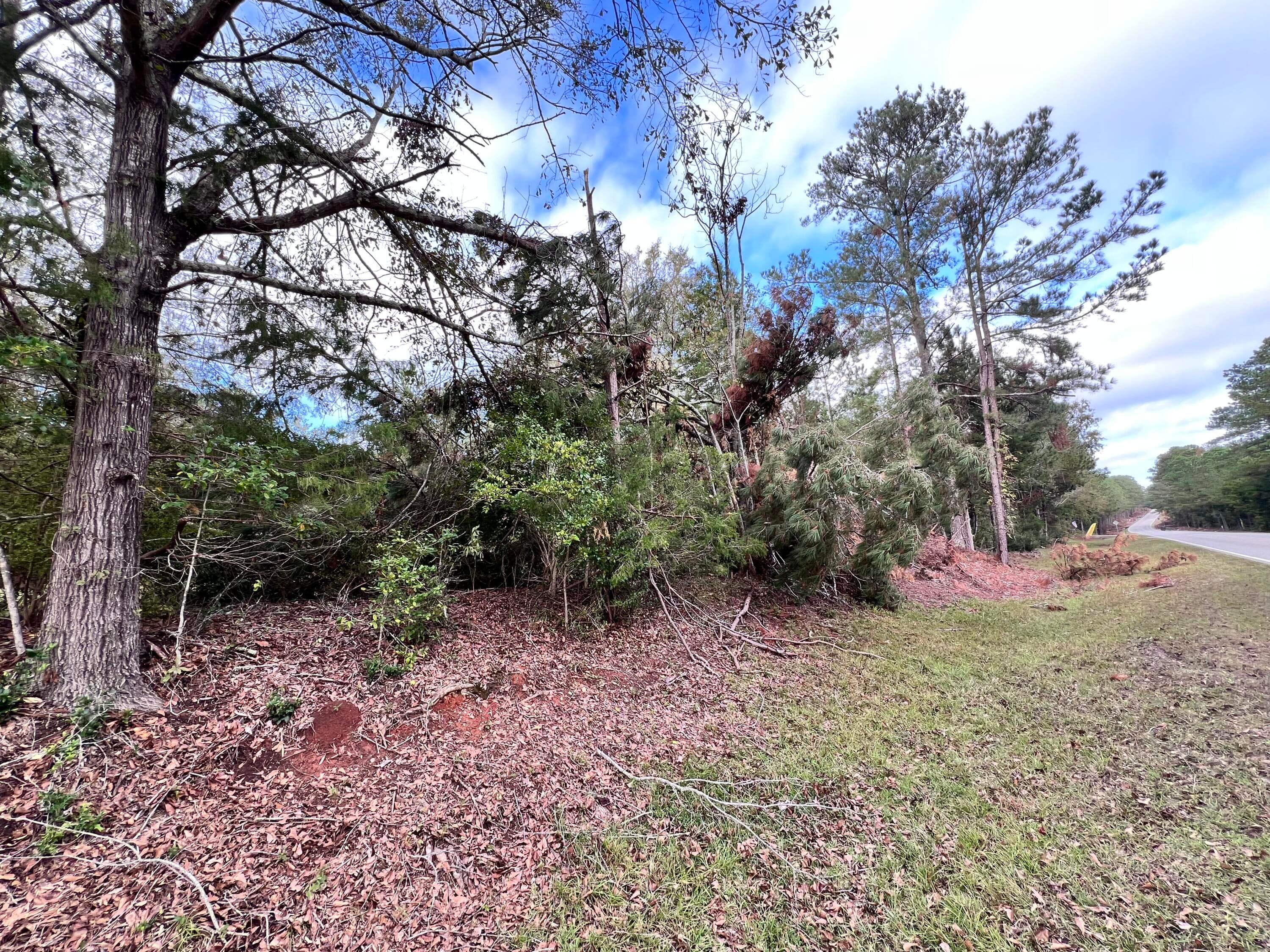 Undeveloped at Lot C Ridge Road, Appling, GA 30802, photo 3 of 4