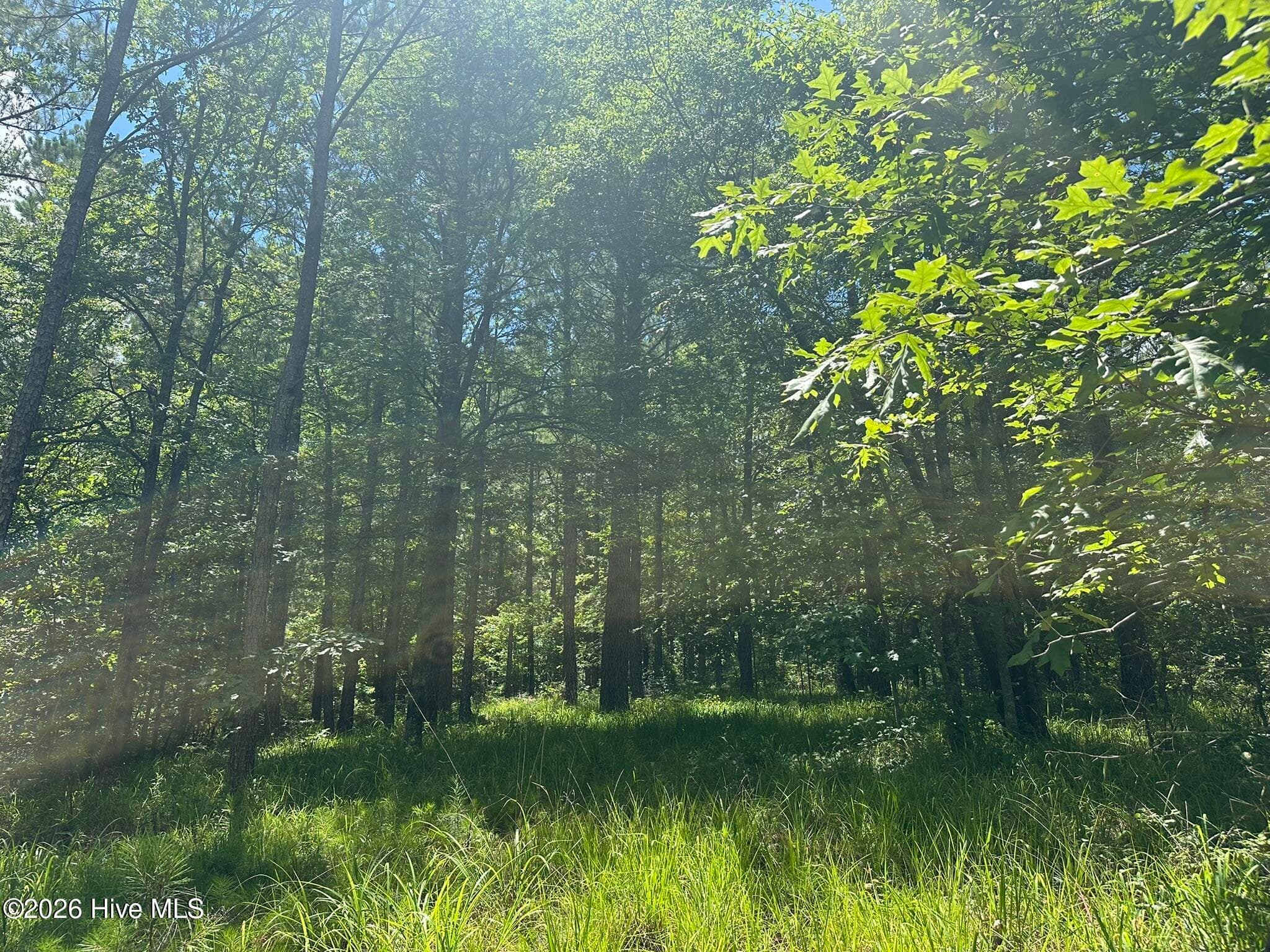 Lot 29 Honeysuckle Trail, Lincolnton, GA 30817