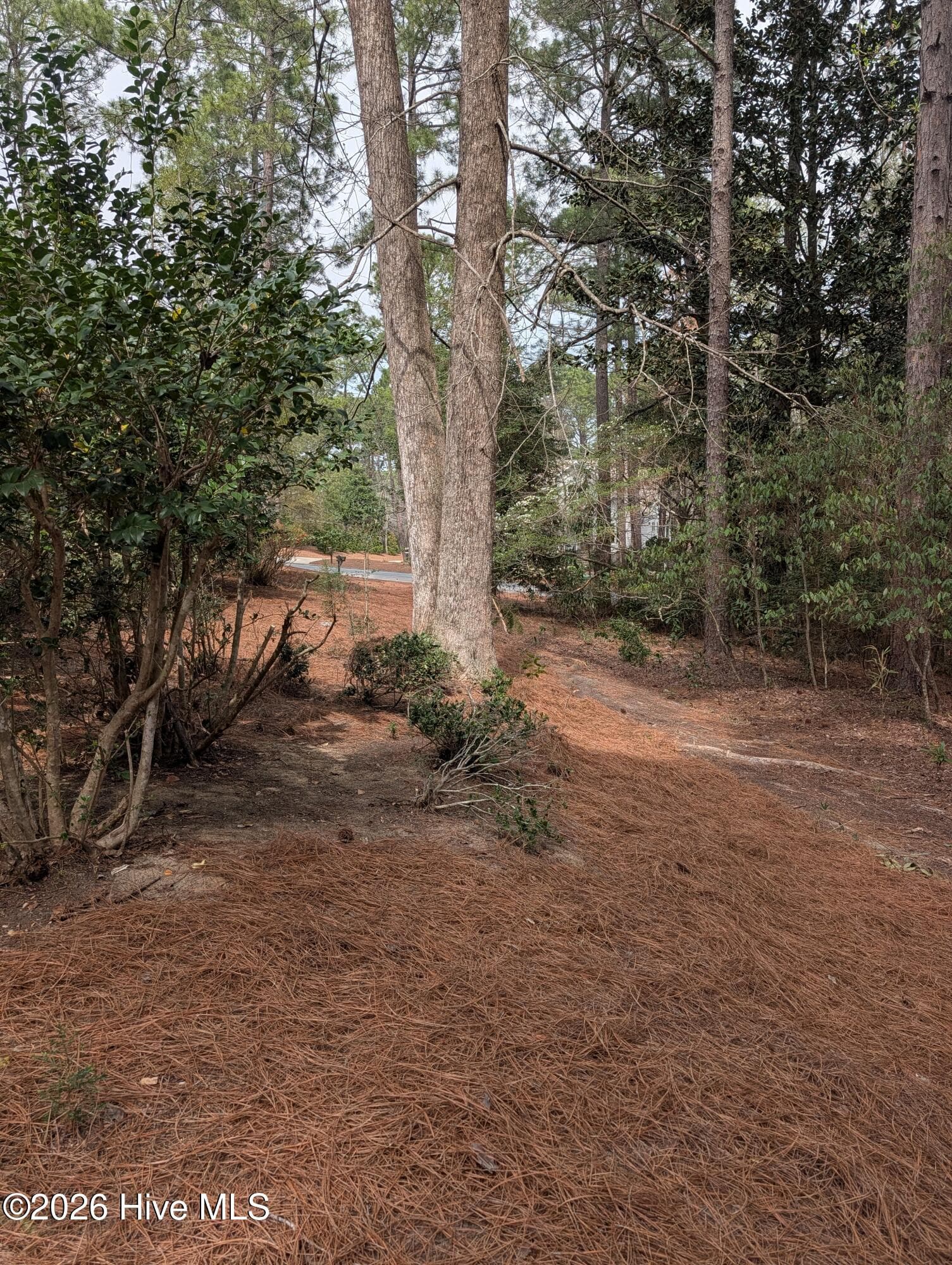 Single Family Residence at 22 Lochmere Drive, Pinehurst, NC 28374, photo 82 of 98