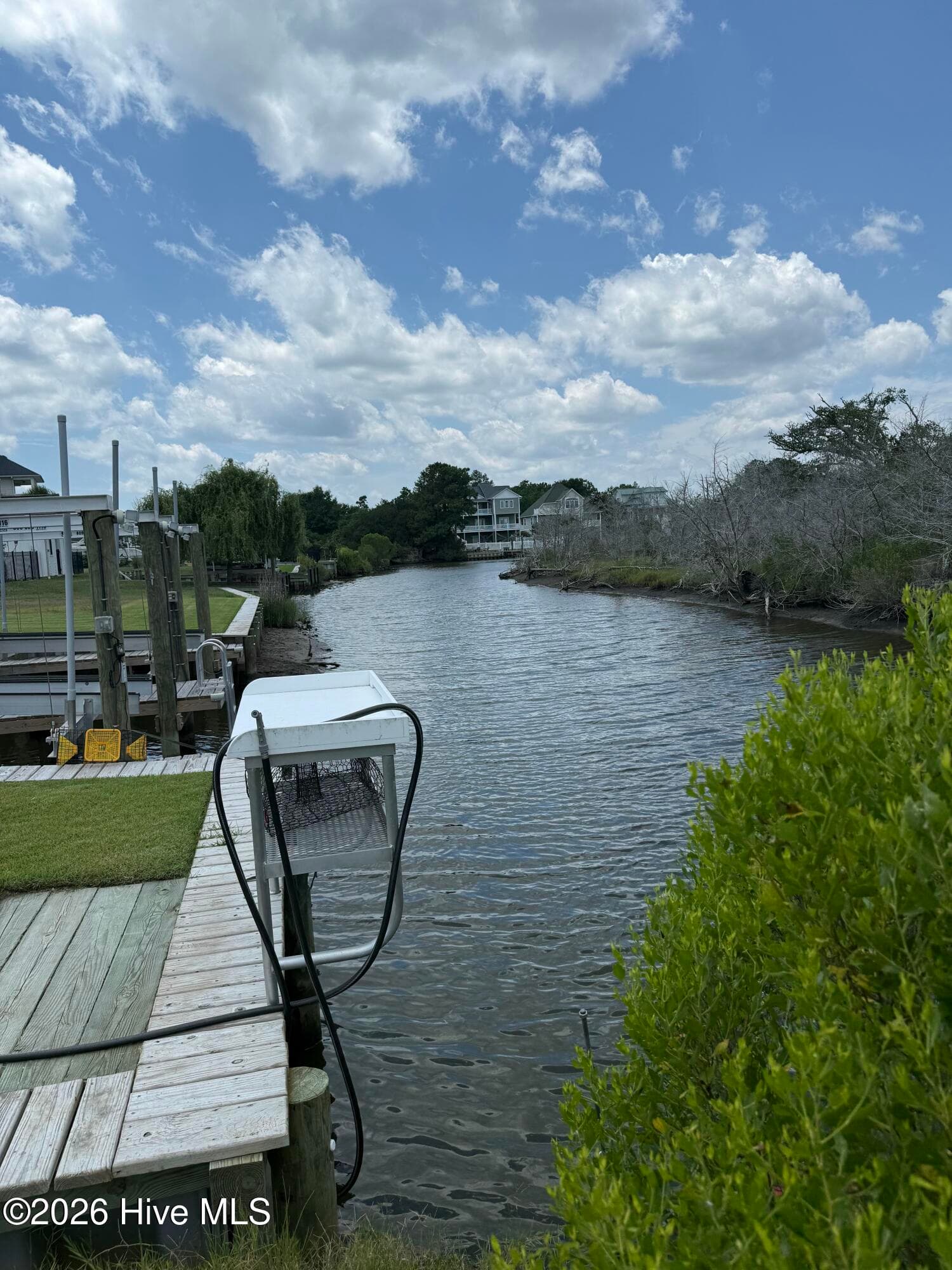 Backyard View - 136 Singleton Street, Sneads Ferry, NC 28460