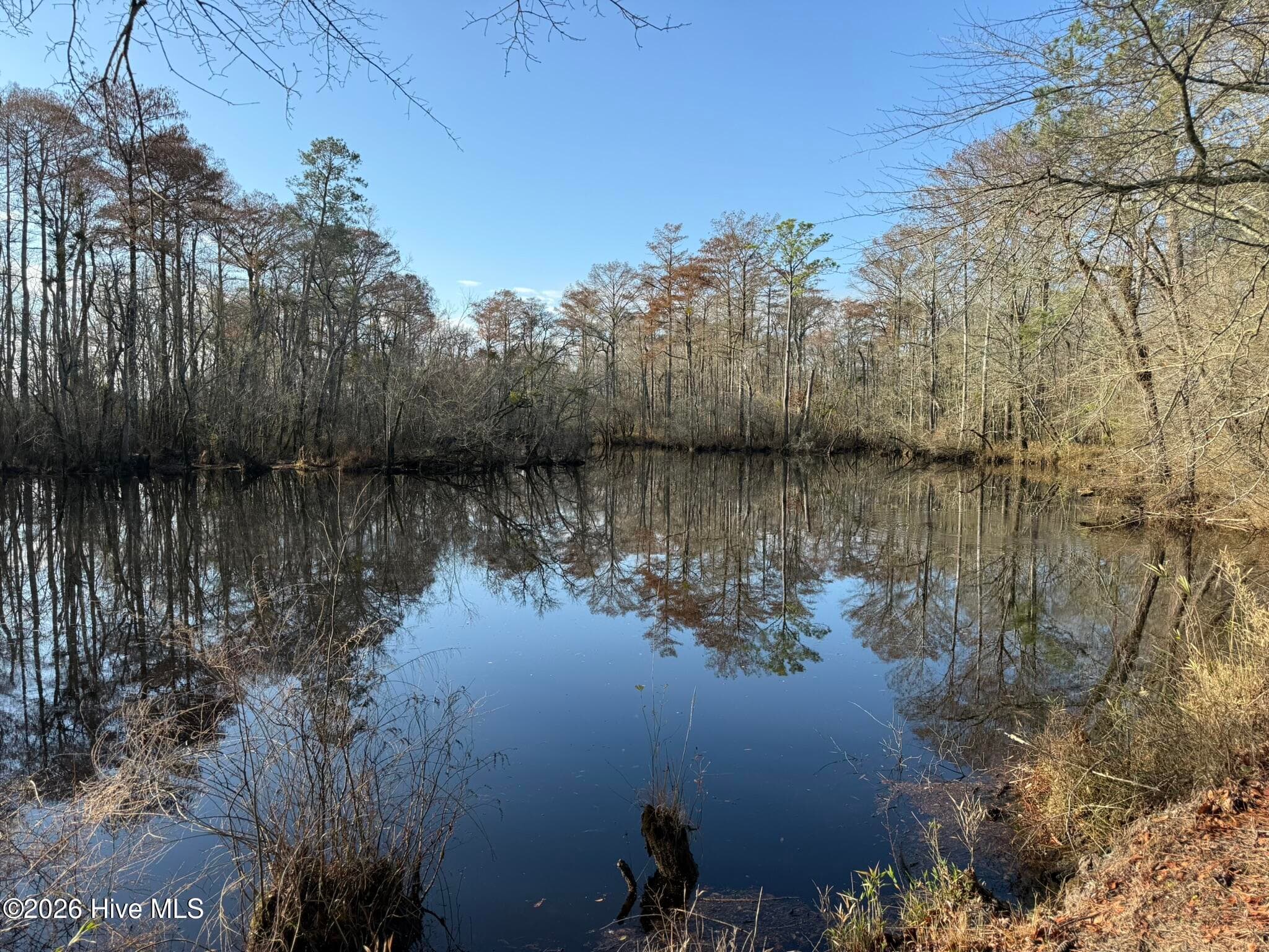 Residential Land at 103 Raccoon, Washington, NC 27889, photo 6 of 8