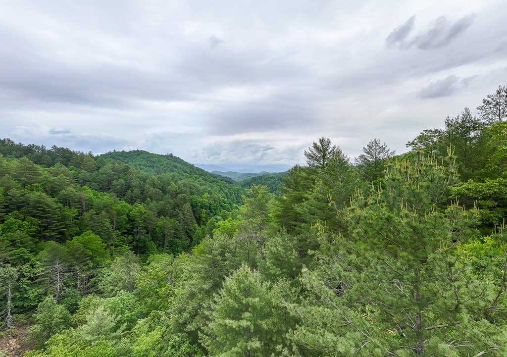 Land at 399 Shell Stand Road, Almond, NC 28702, photo 18 of 21