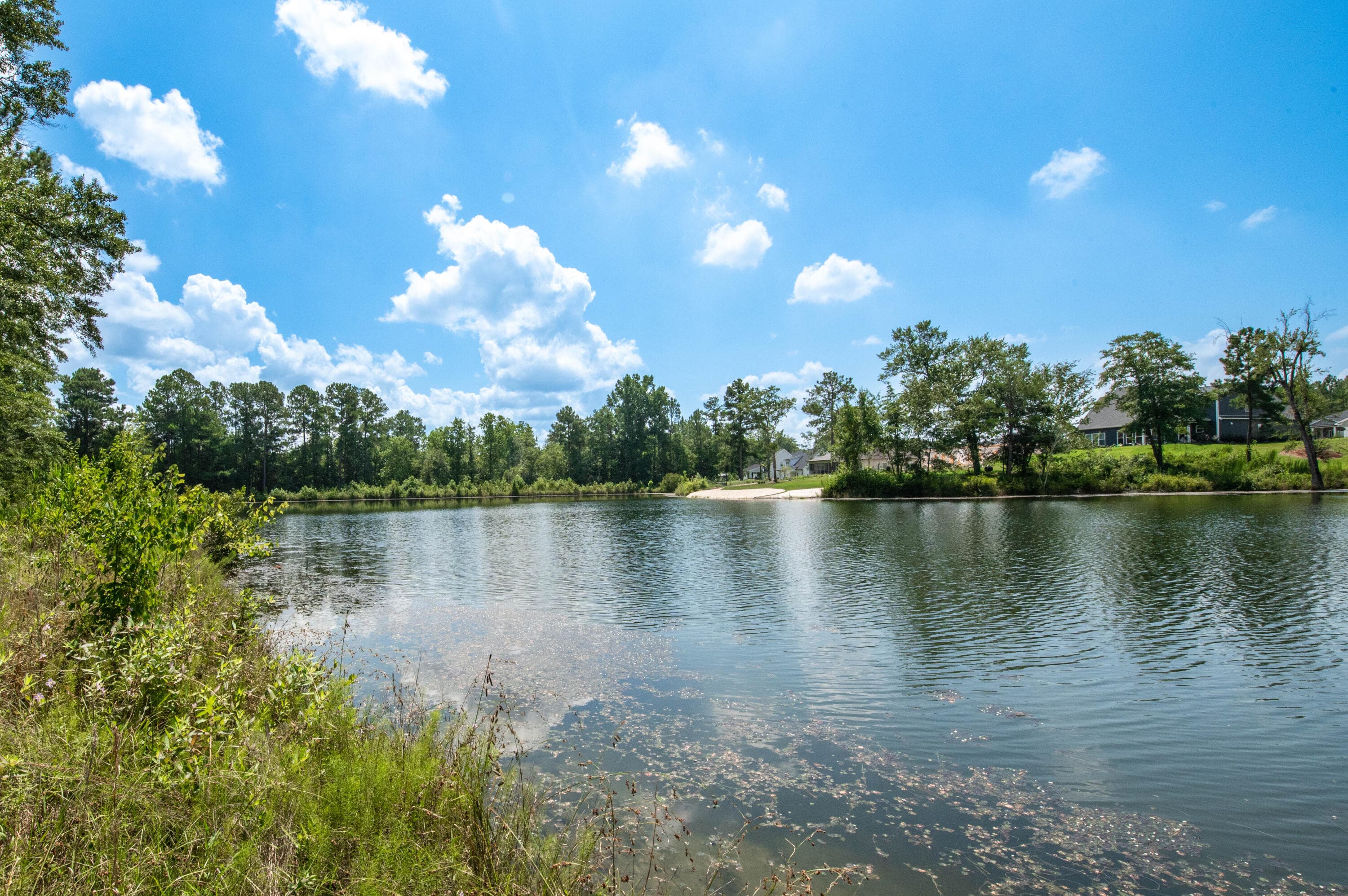 Single Family Residence at 4091 Shimmer Lake Lane, North Augusta, SC 29841, photo 3 of 3