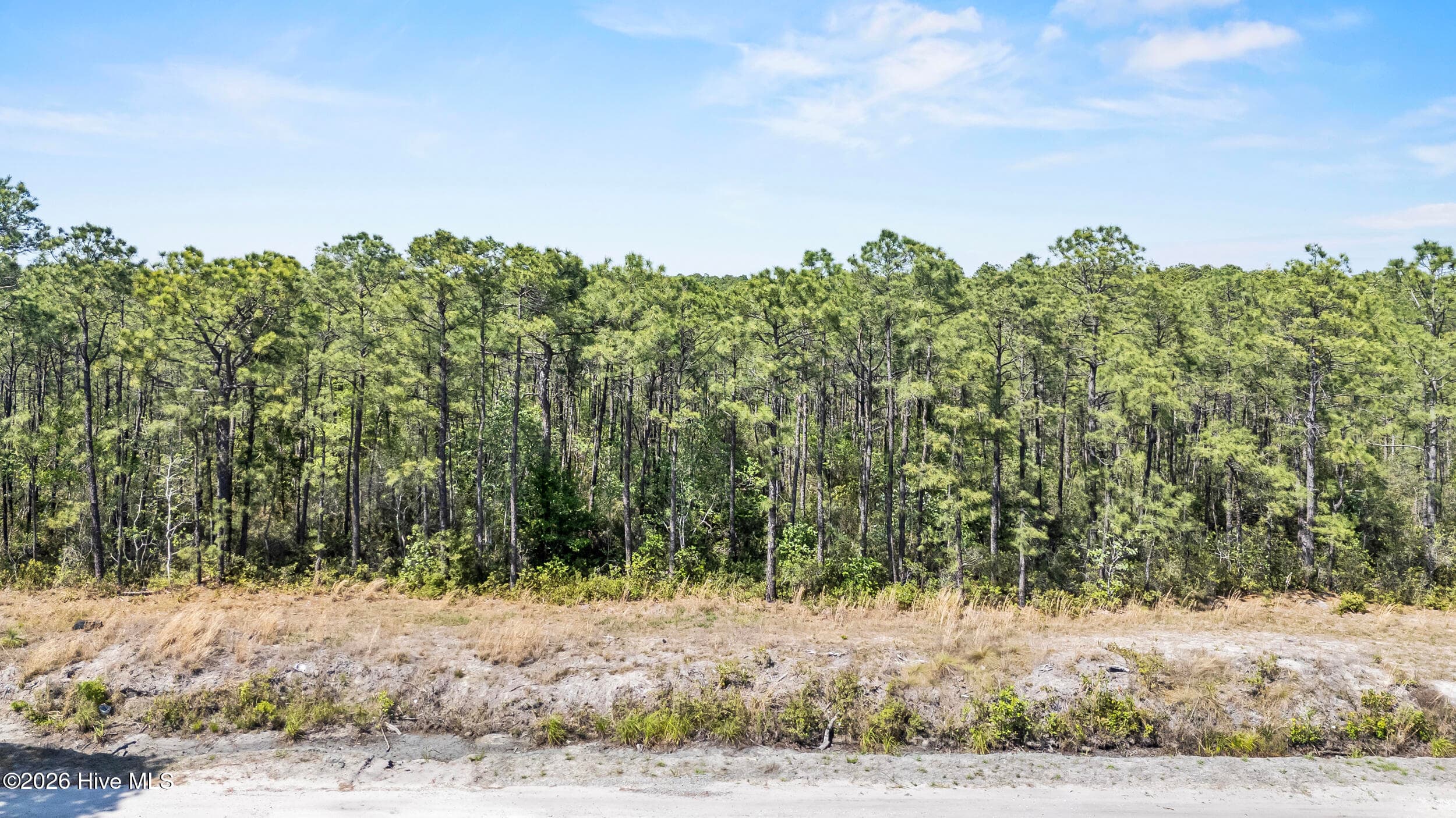 Mixed Use at Lot #267 267 Plantation Road, Wilmington, NC 28411, photo 7 of 16