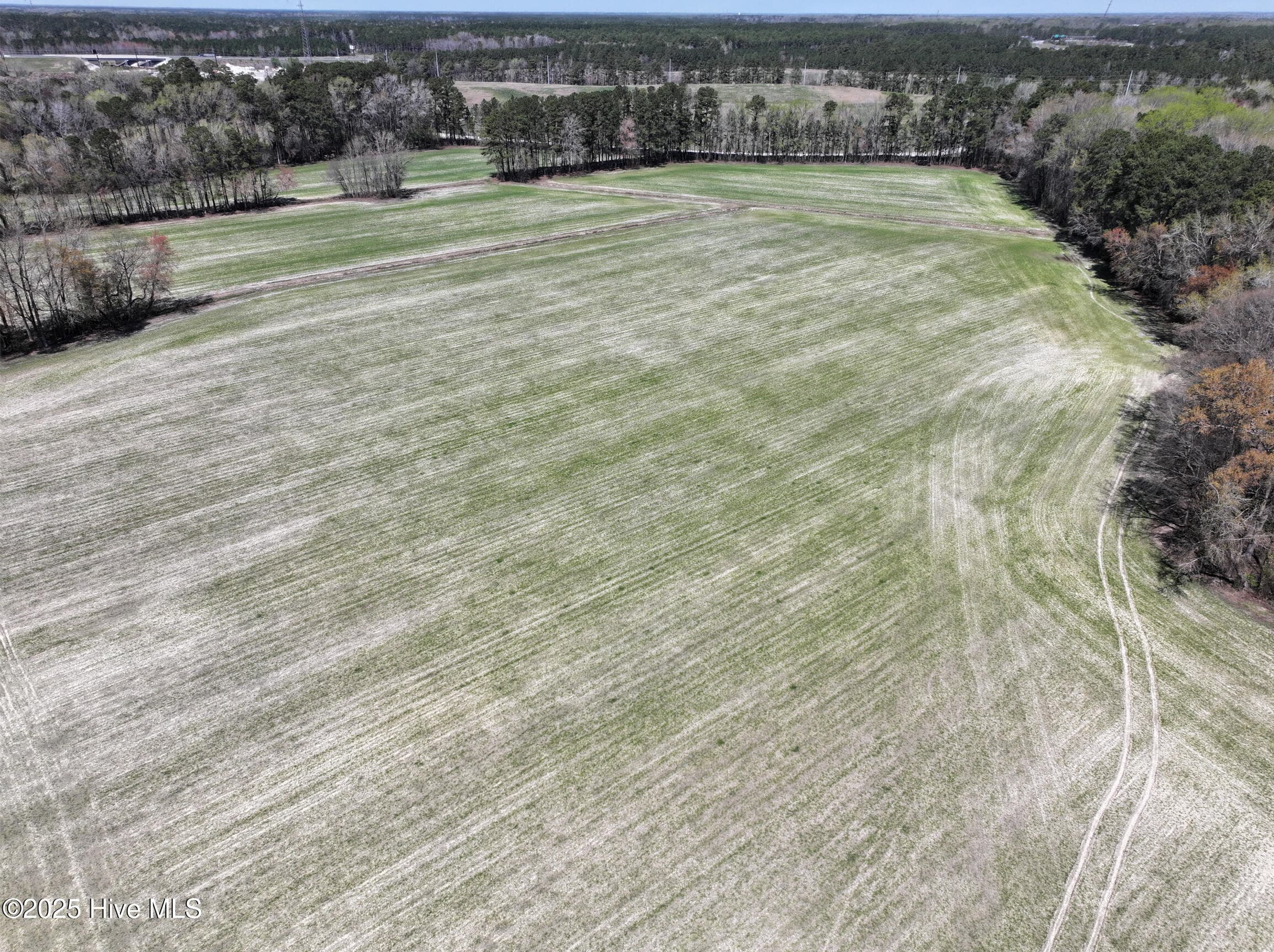 Undeveloped at 0 Allen Road, Greenville, NC 27834, photo 6 of 9