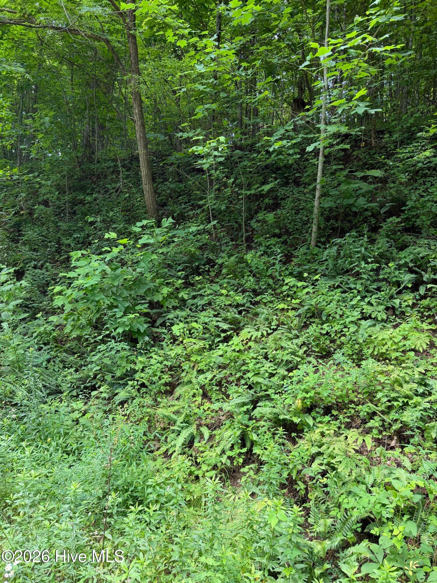 Wooded at Lot 2 Outlook Road, Murphy, NC 28906, photo 2 of 6