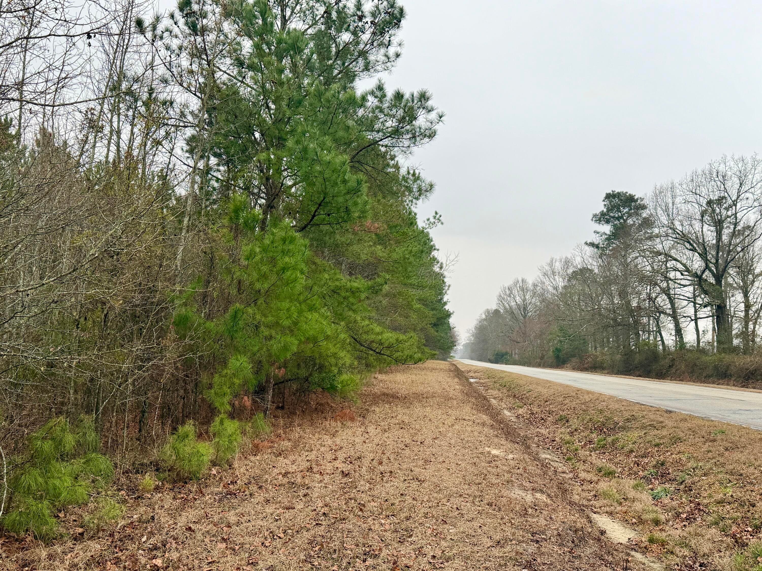 Undeveloped at Tract 3 Ga-305, Midville, GA 30441, photo 5 of 14