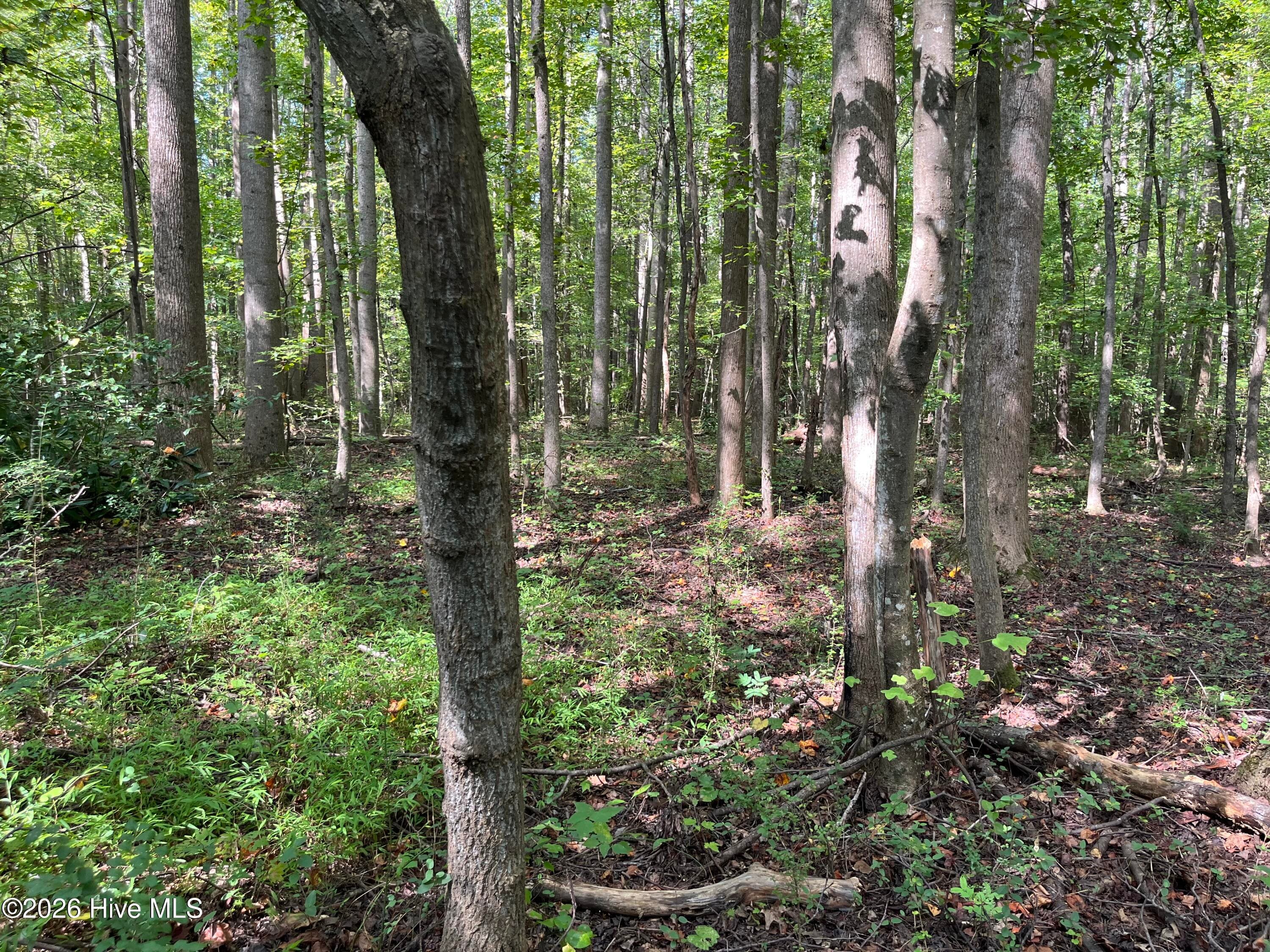 Undeveloped at 9011 Pleasant Grove Church Road, Spring Hope, NC 27882, photo 5 of 11