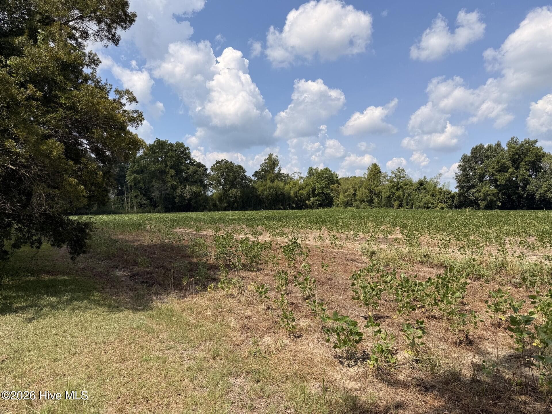 Farm at 685 Snake Road, Lumberton, NC 28358, photo 3 of 10