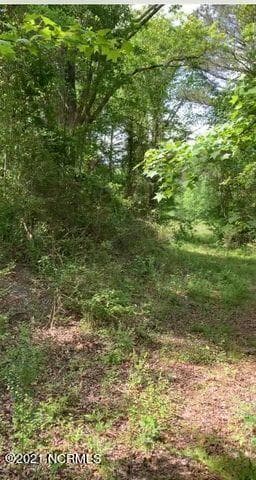 Tbd W Hamlet Avenue, Hamlet, NC 28345