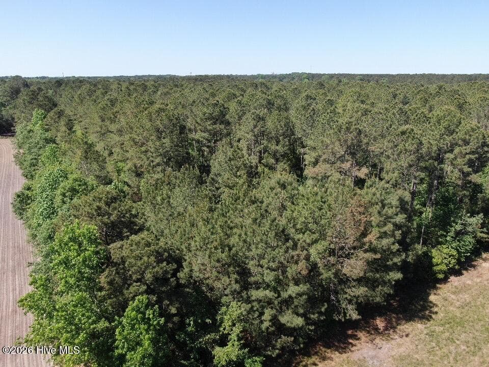 Wooded at 20.51 Acre Sweat Drive, Bladenboro, NC 28320, photo 7 of 16