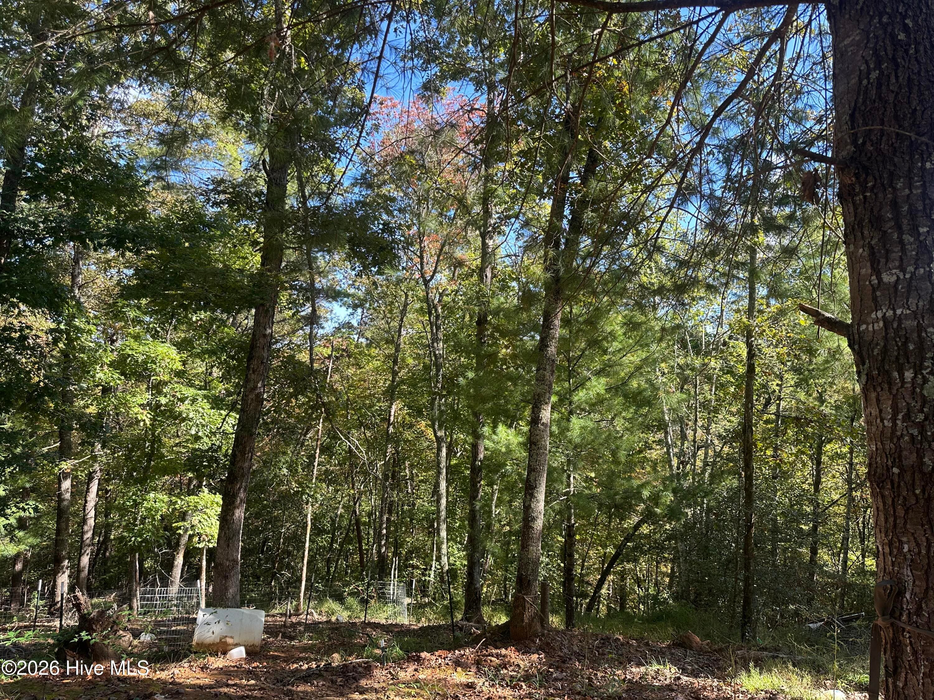 237 Hillendale Lane, Murphy, NC 28906