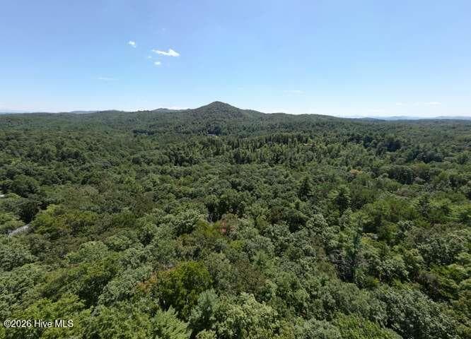 Single Family Residence at 158 Red Oak Forest Lane, Murphy, NC 28906, photo 49 of 59
