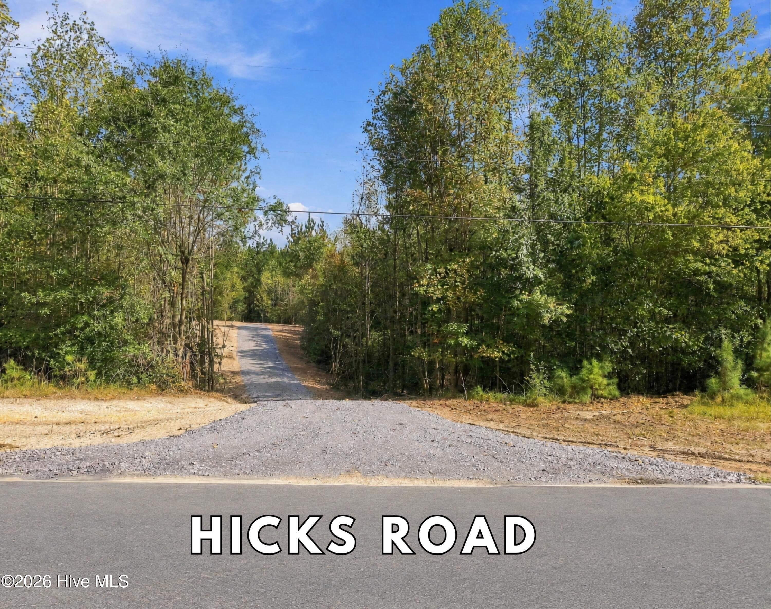 Residential Lot at Lot 5 Capelsie Road, Candor, NC 27229, photo 4 of 14