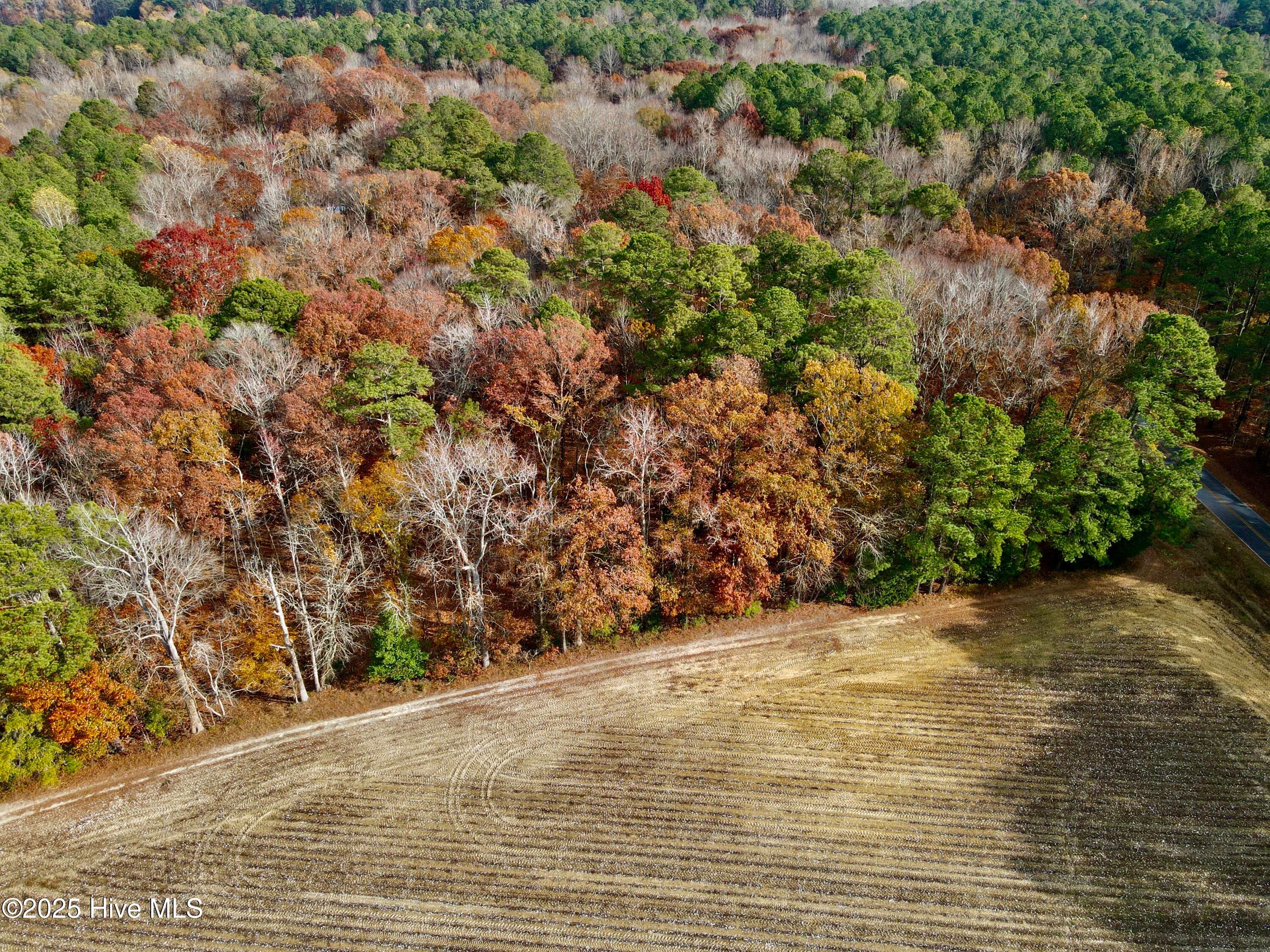 Wooded at 0 Williams Road, Williamston, NC 27892, photo 8 of 16